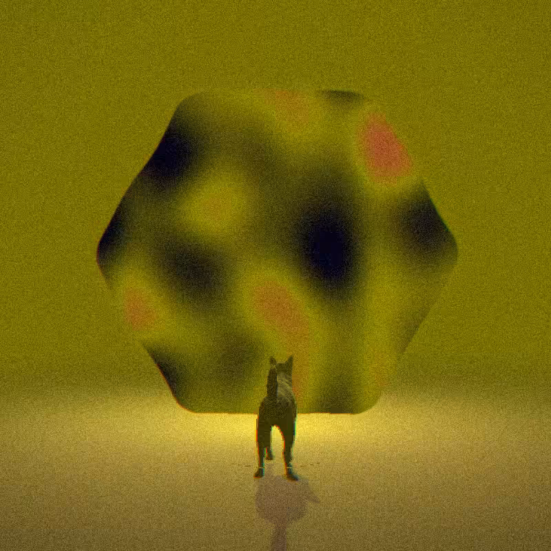 PORTALS #14
