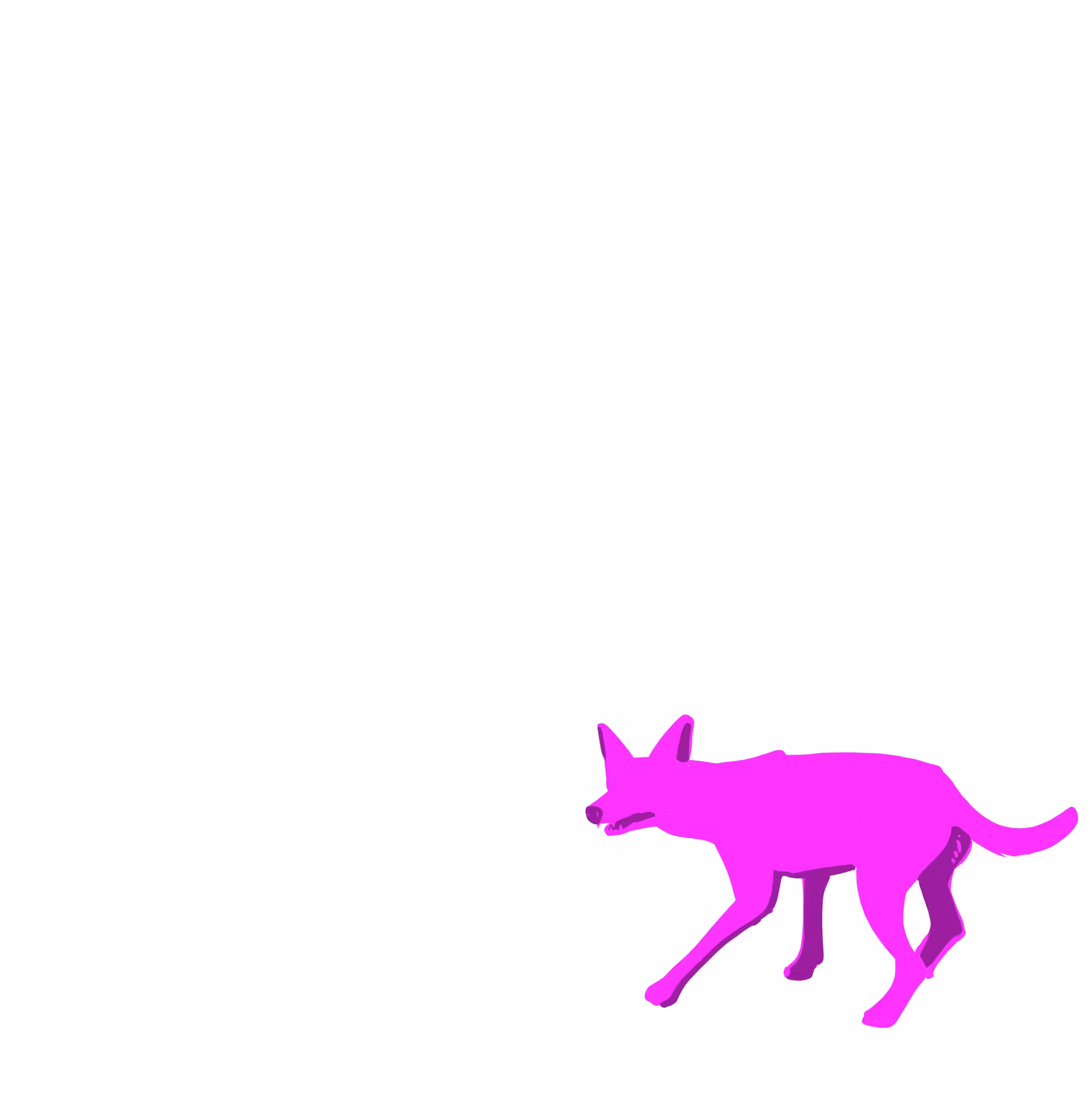 Street dog