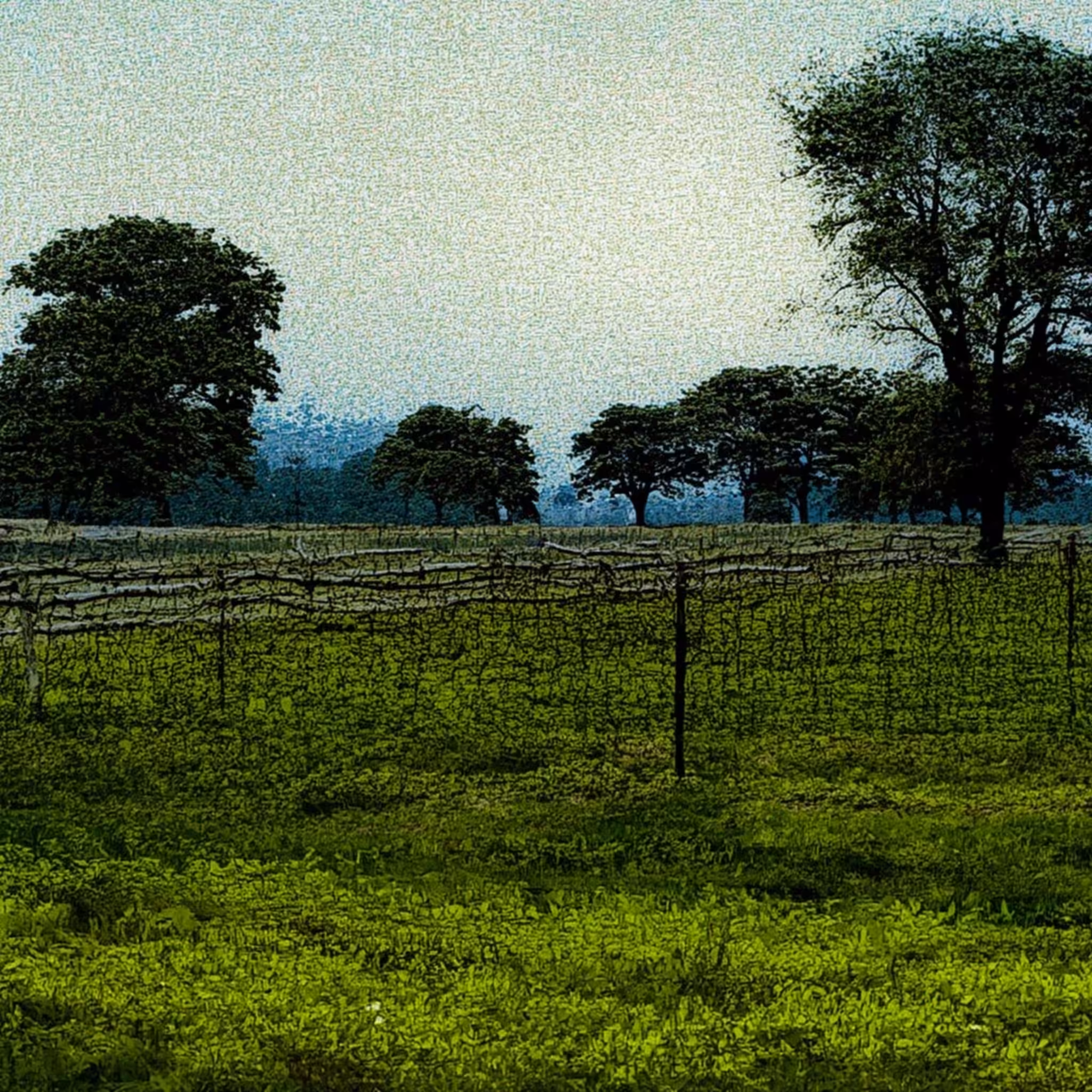 BORDERLAND