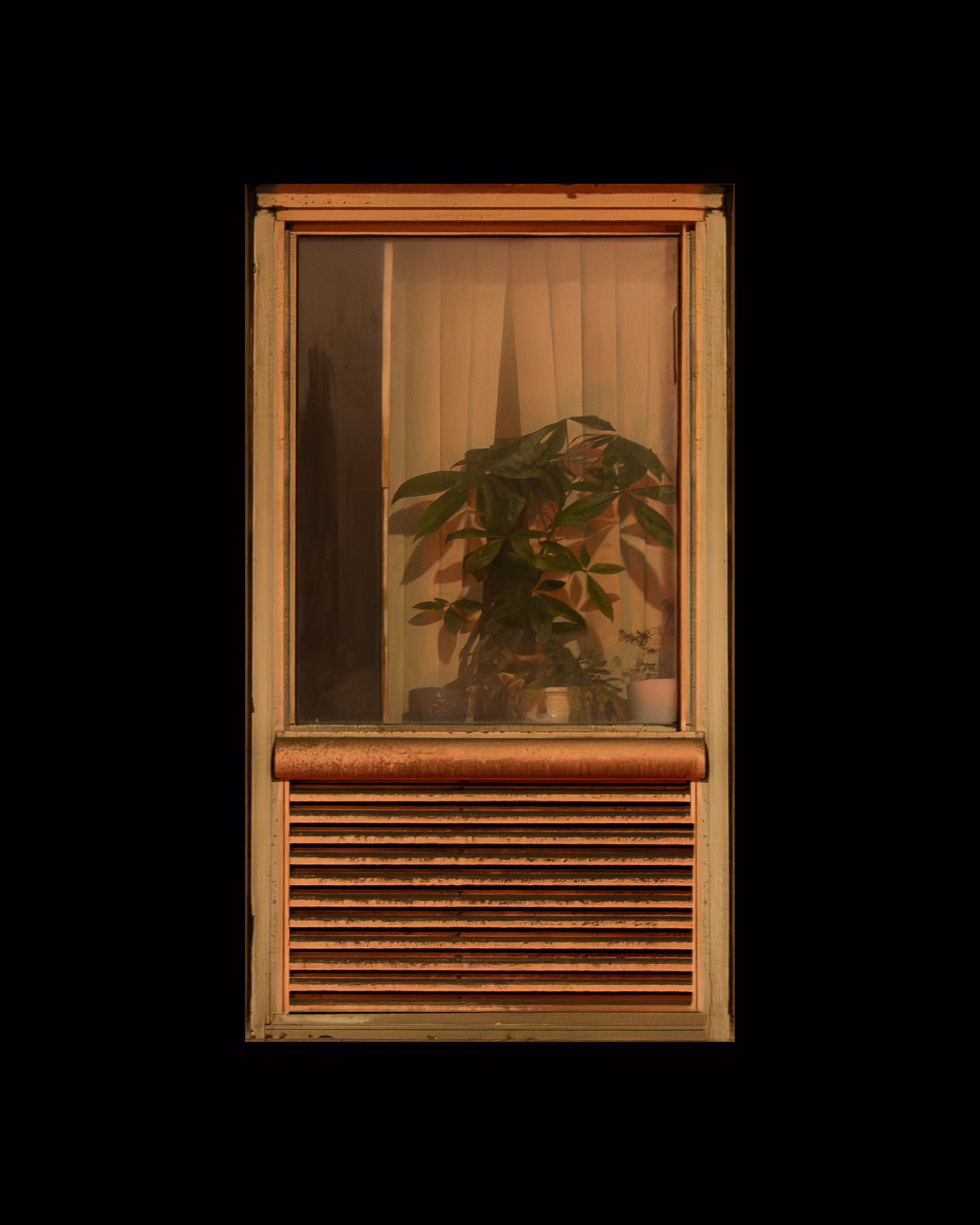 WINDOW 885