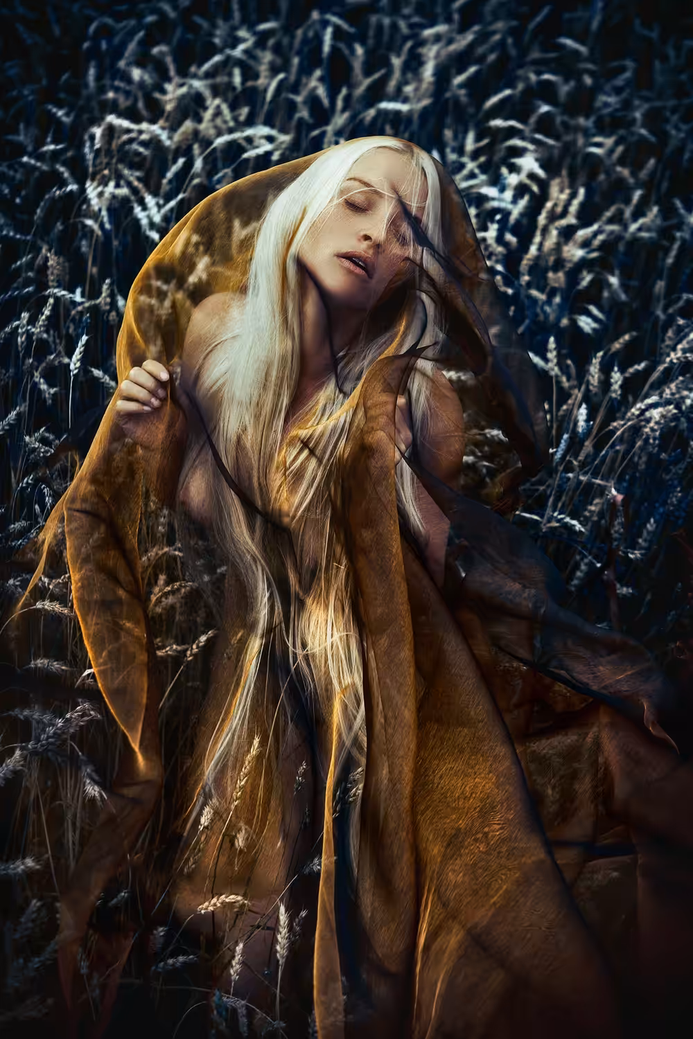 Fields of Gold