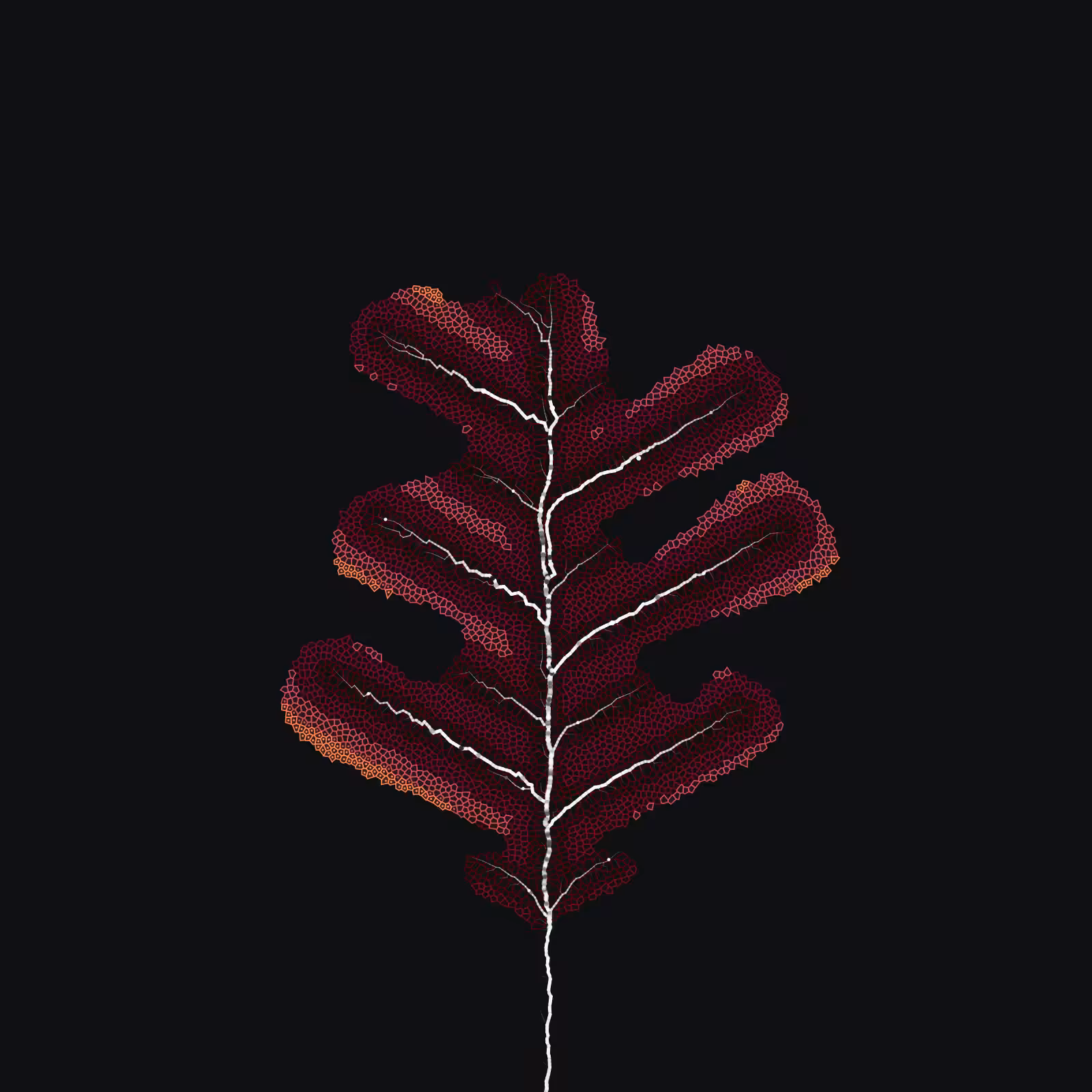 Leaf study #38