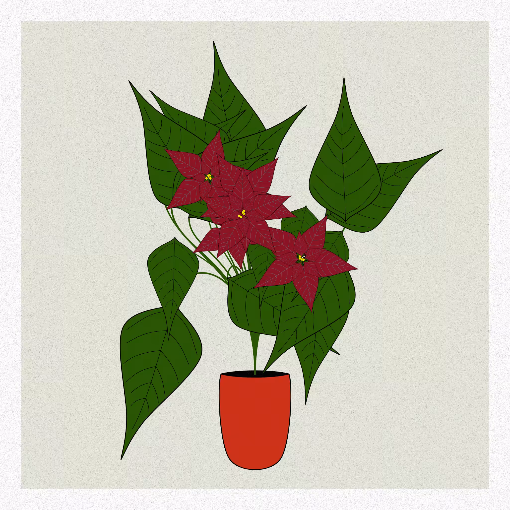 Flowers #83