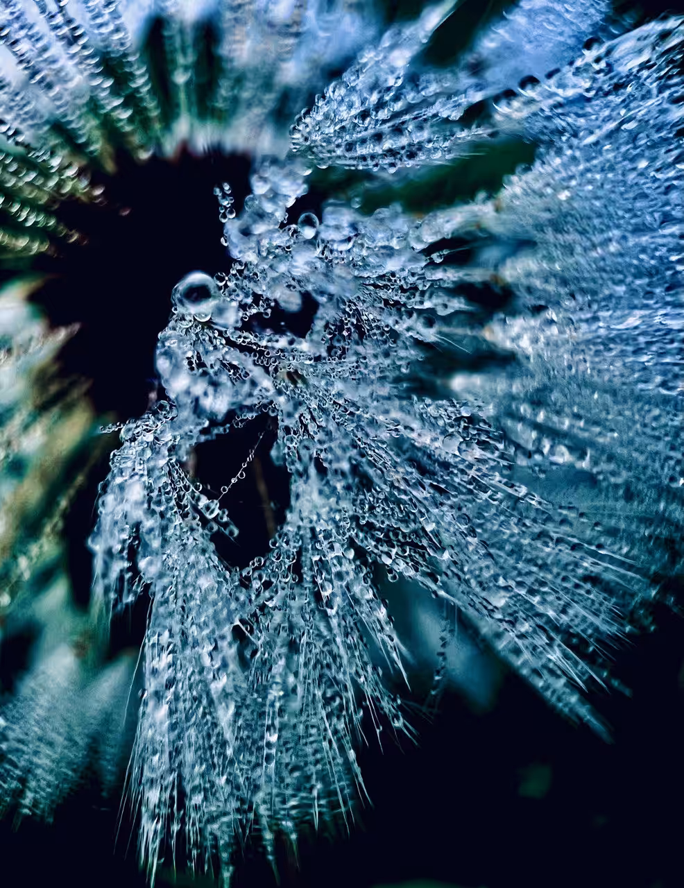 DEW