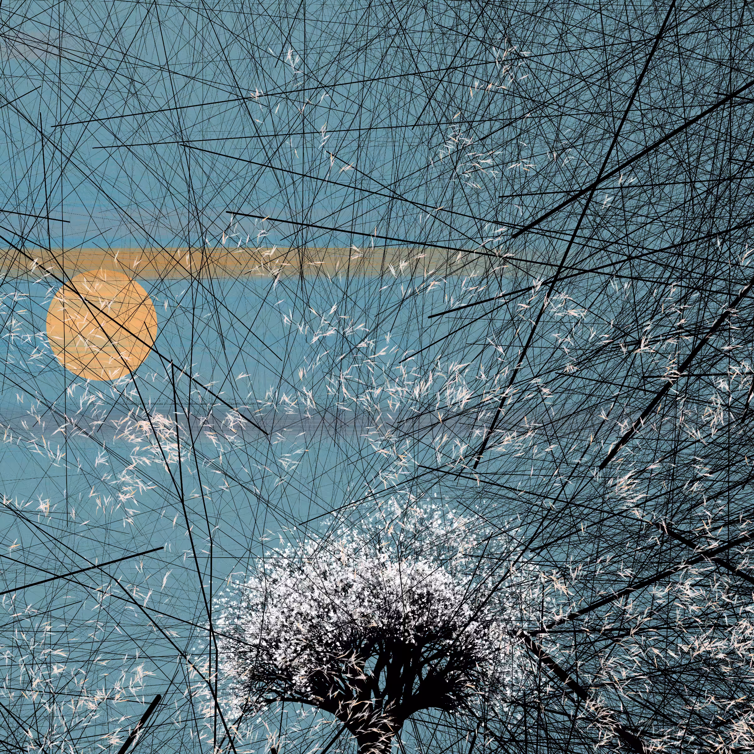 conversation with the wind #696