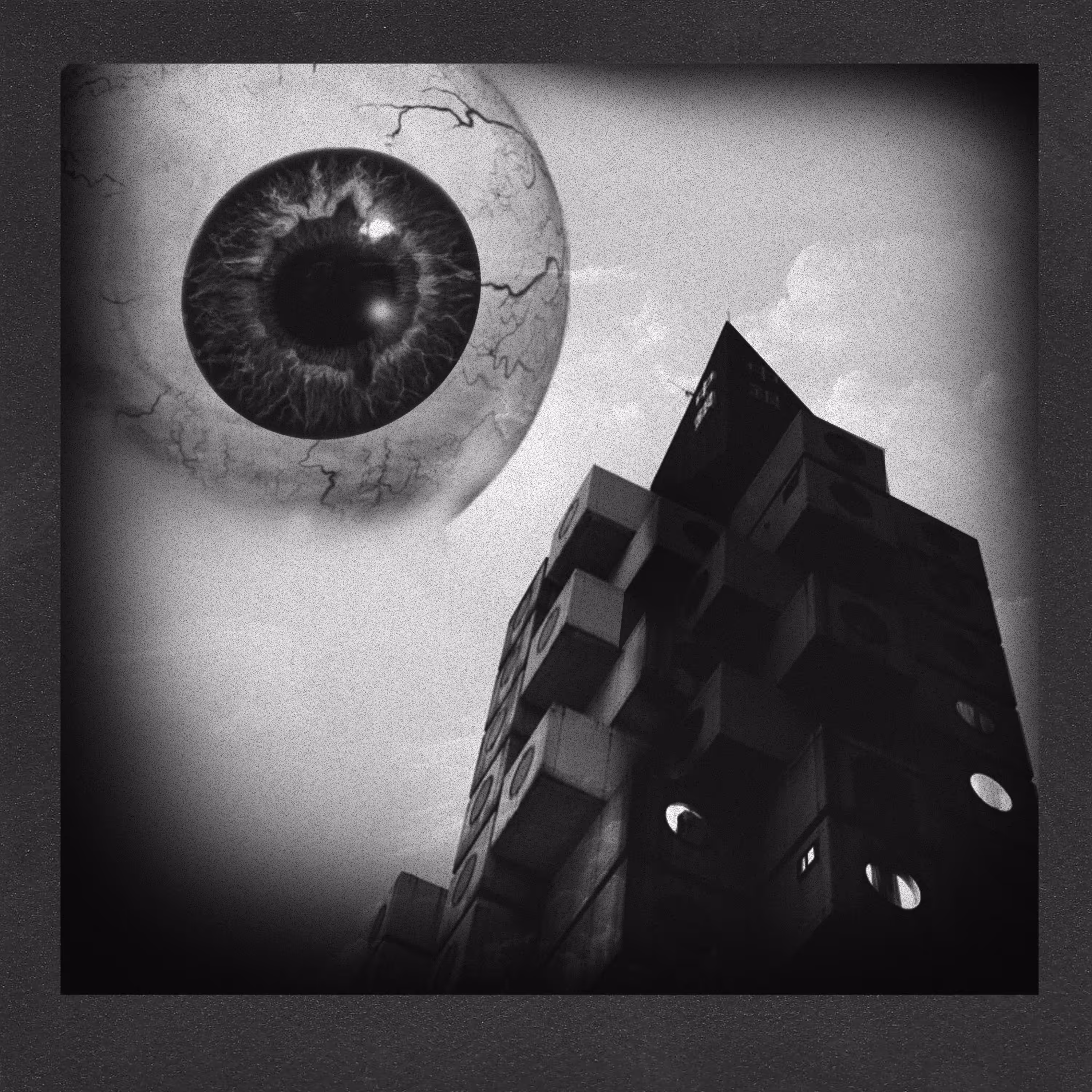 Echoprint #4 - Peeking The Metabolist