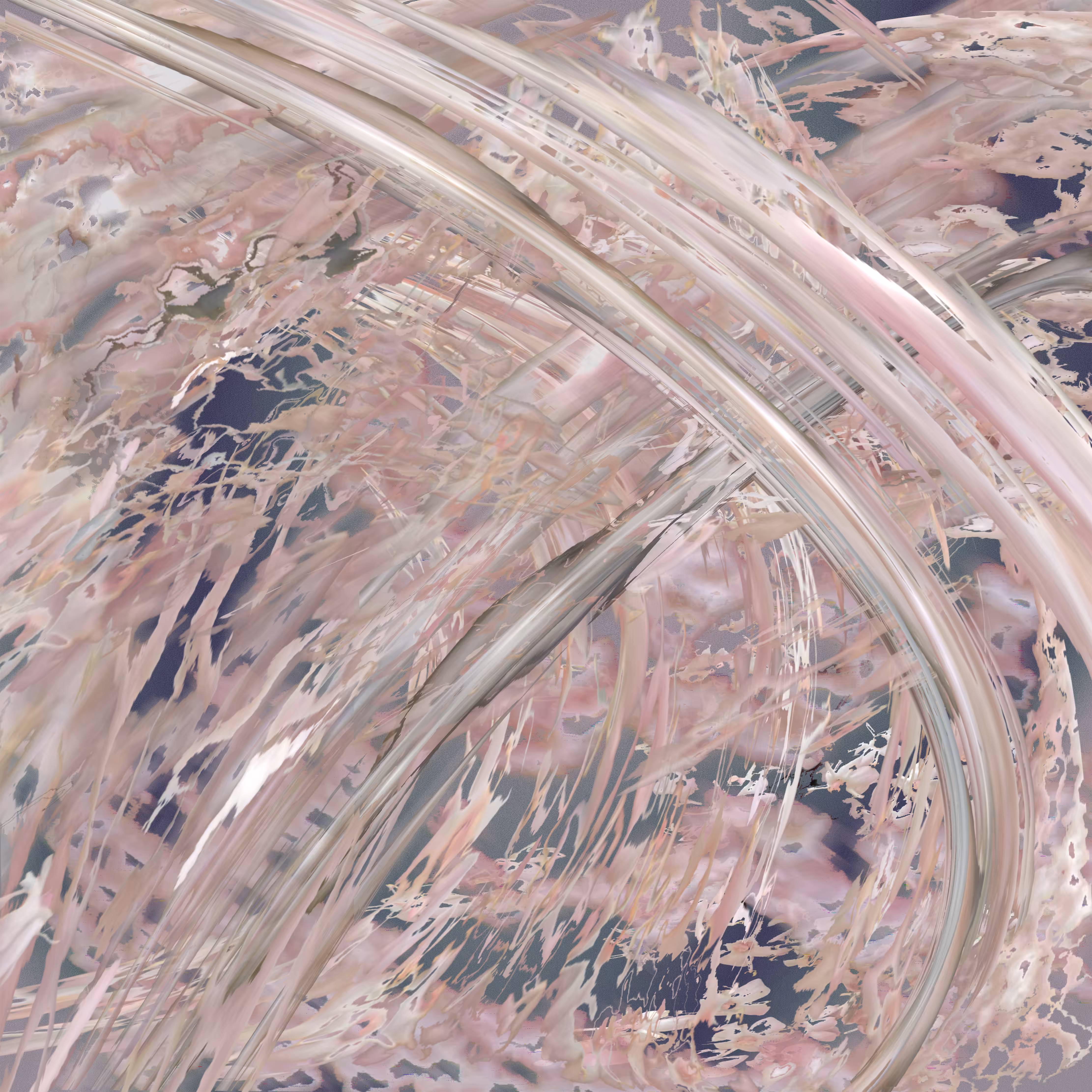 🌸𝘦𝘭𝘥𝘦𝘳🌸𝘣𝘦𝘳𝘳𝘺🌸