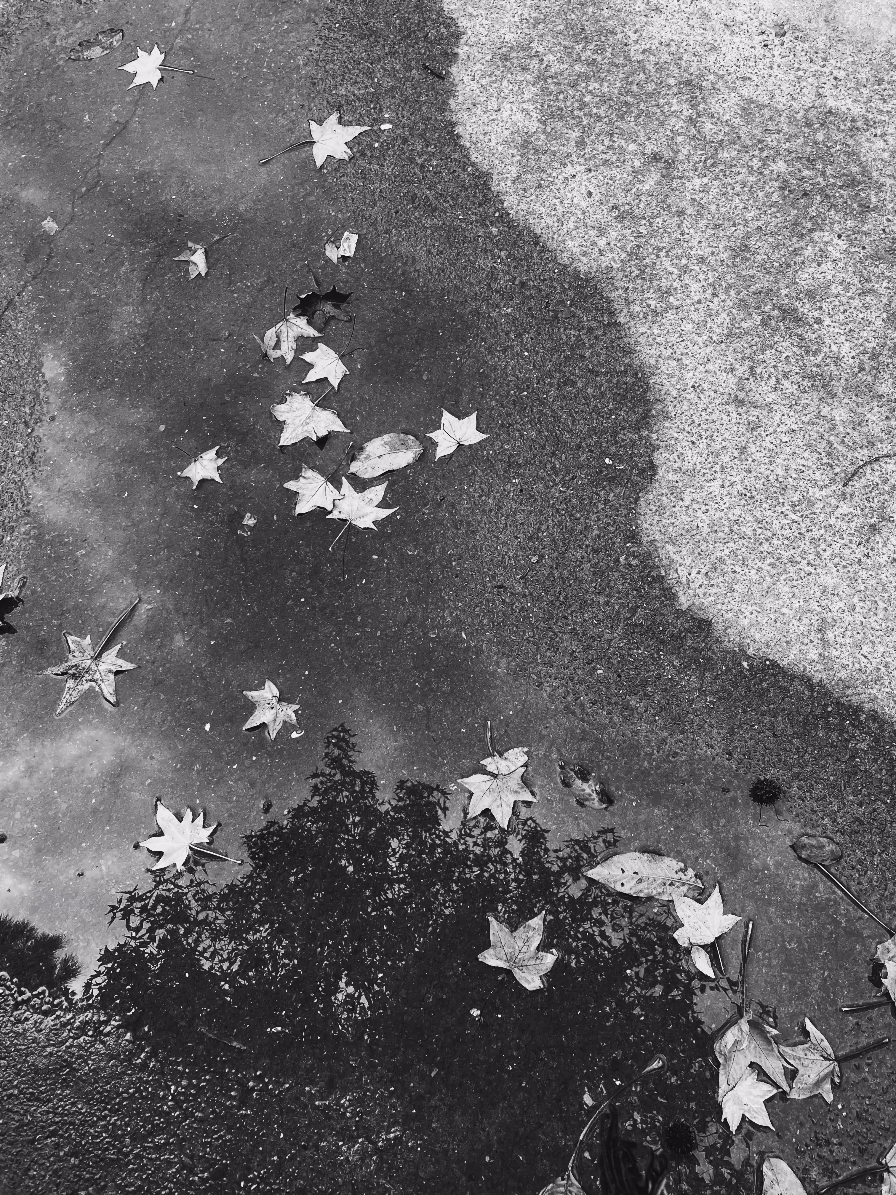 Gray moments: Reflex