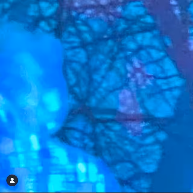 MDTWhoitWRBhgJ