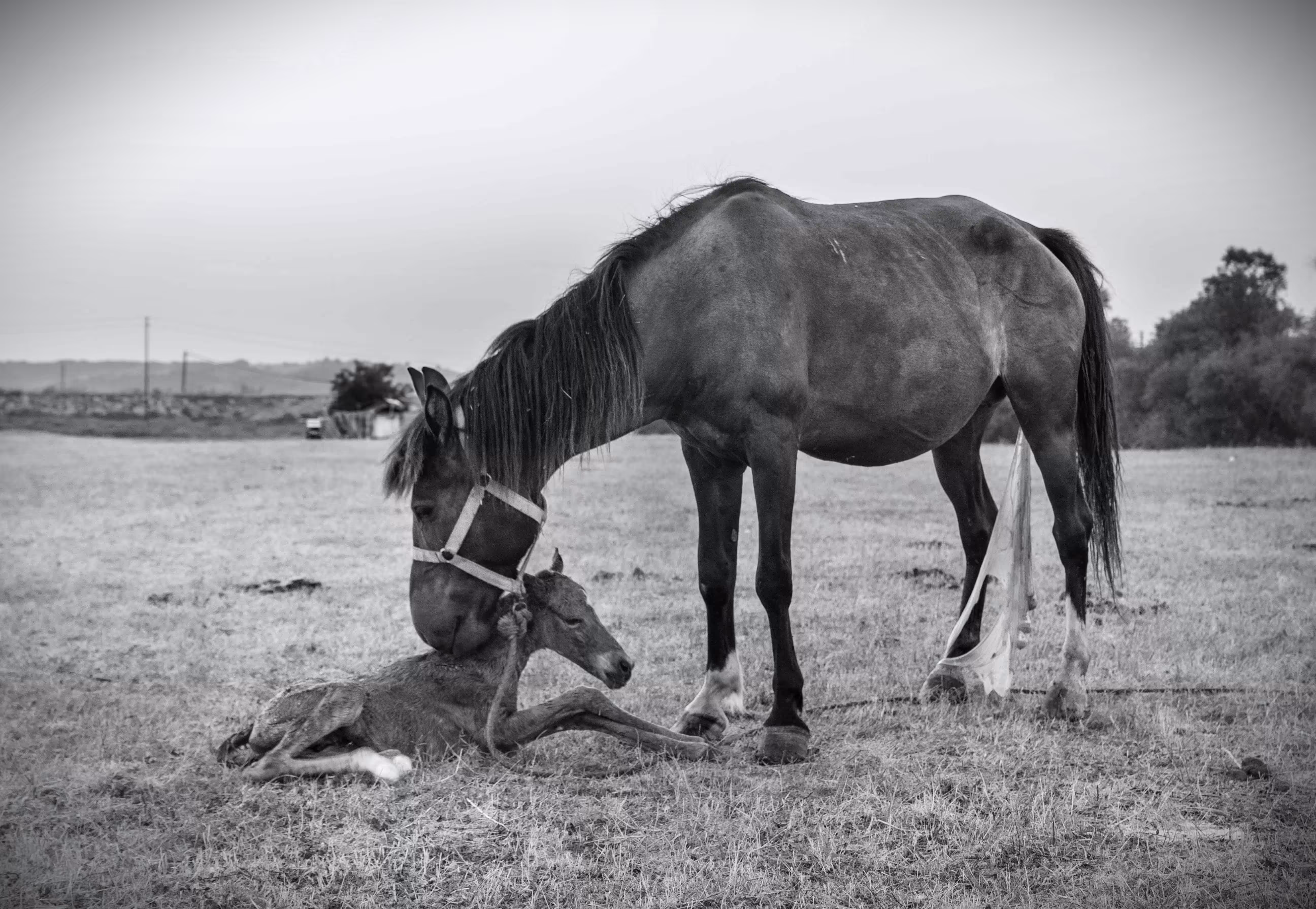 The Gift of Arrival