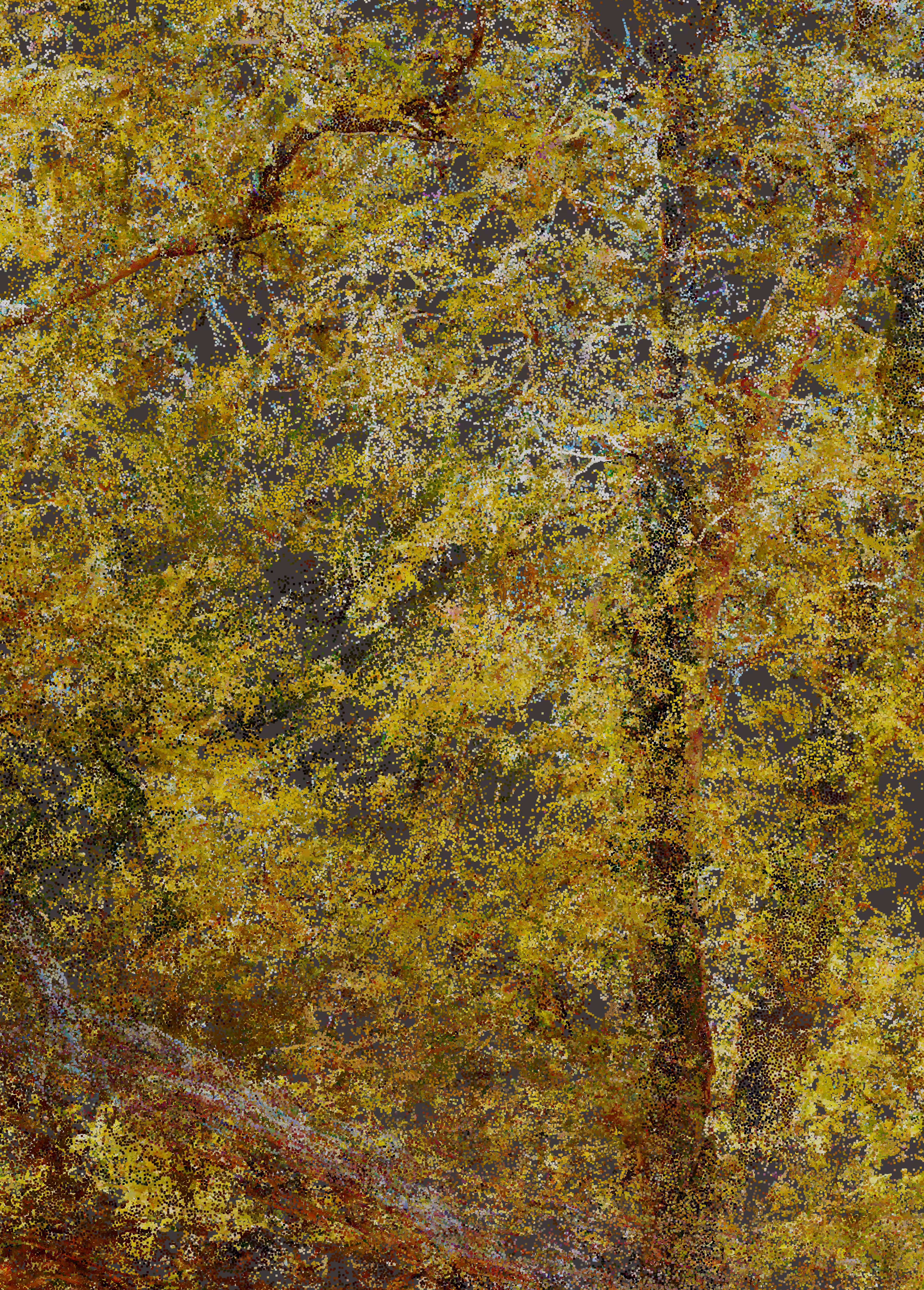 Provence Q_01-3
