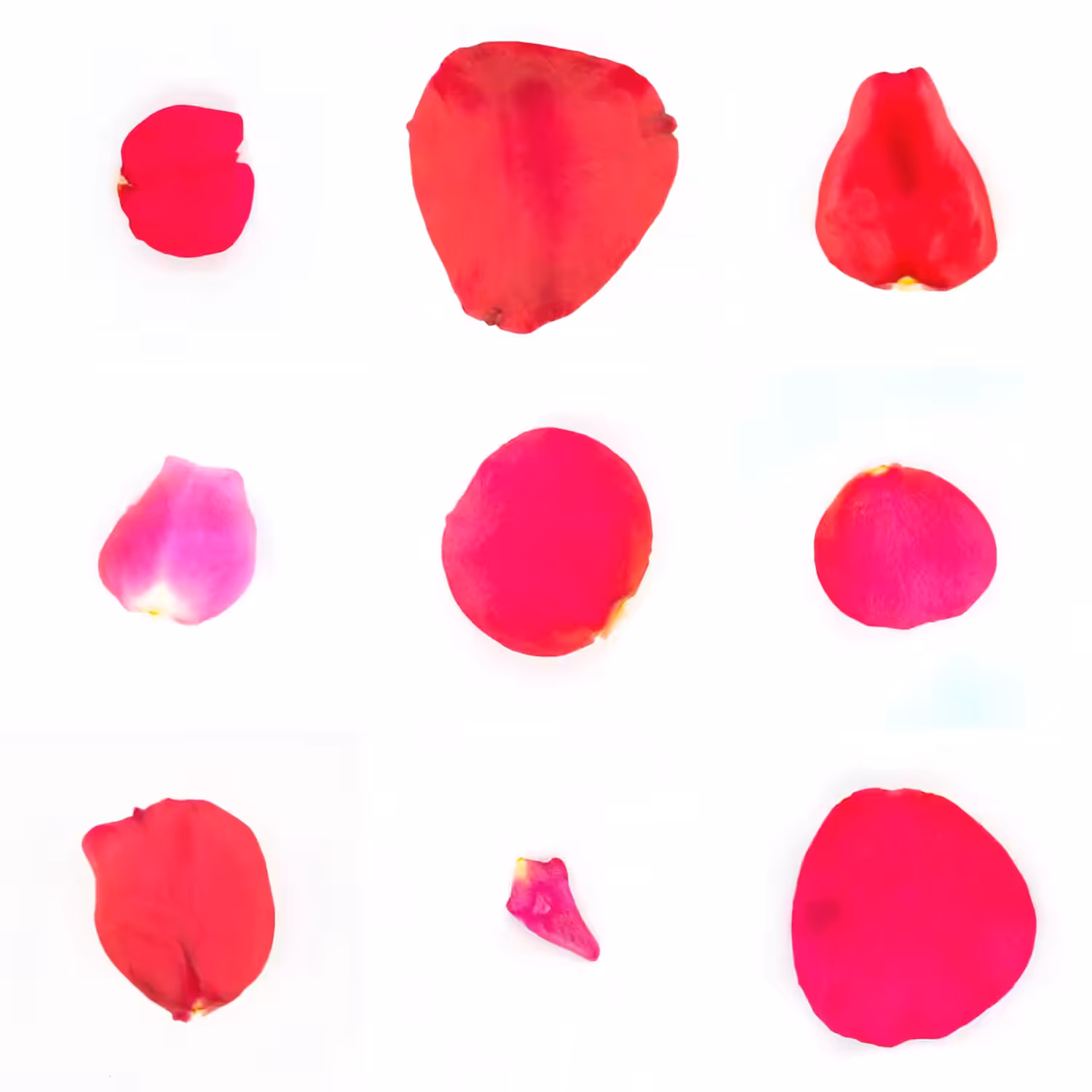 Infinite Petals 3x3#664