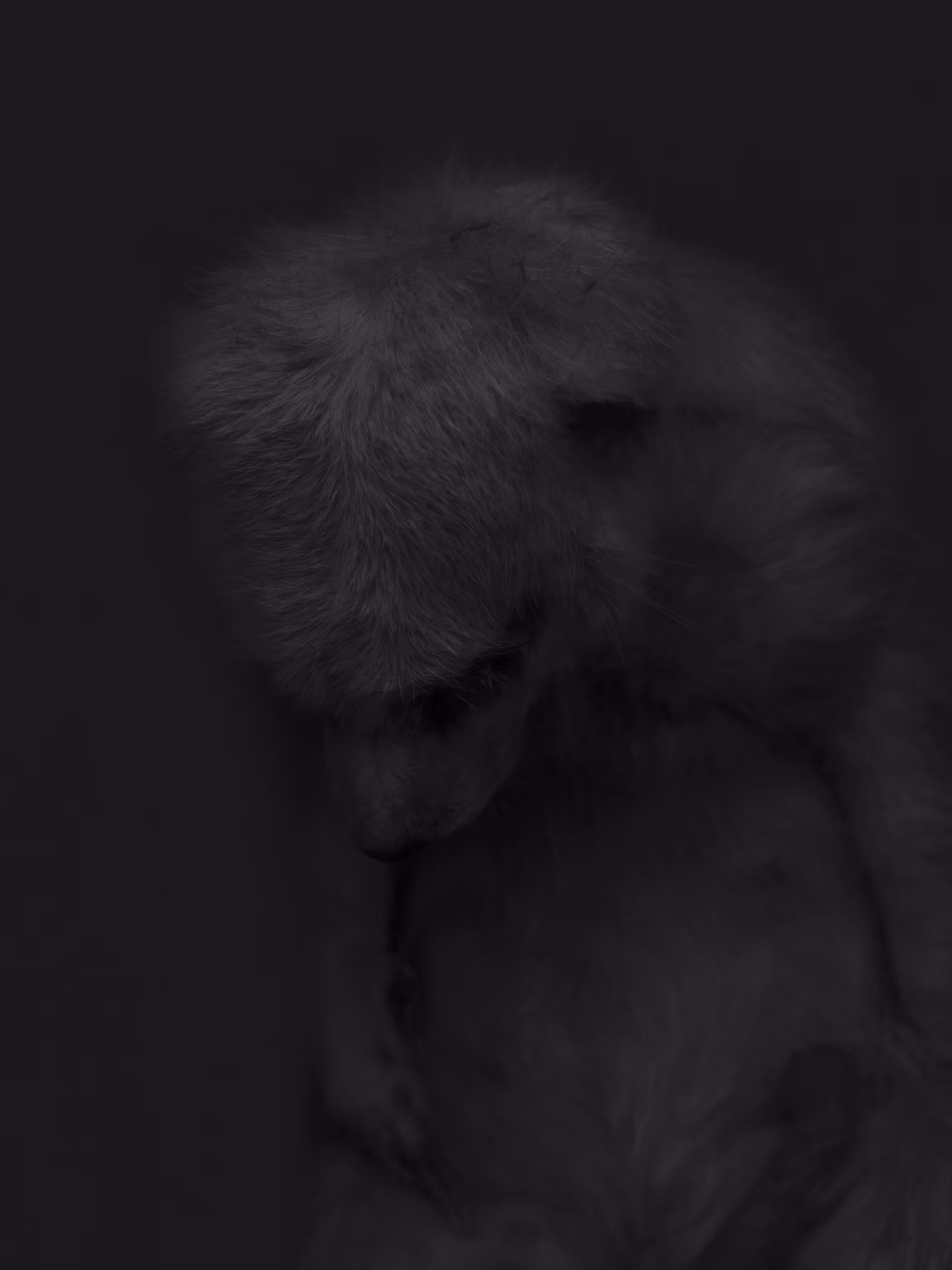 CryptoMummy 02