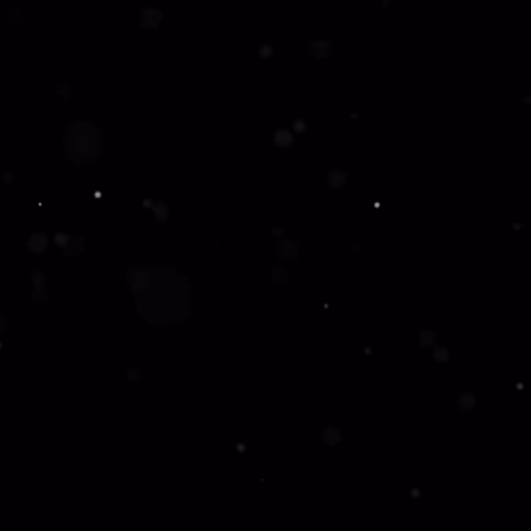 In Honor of the Moon