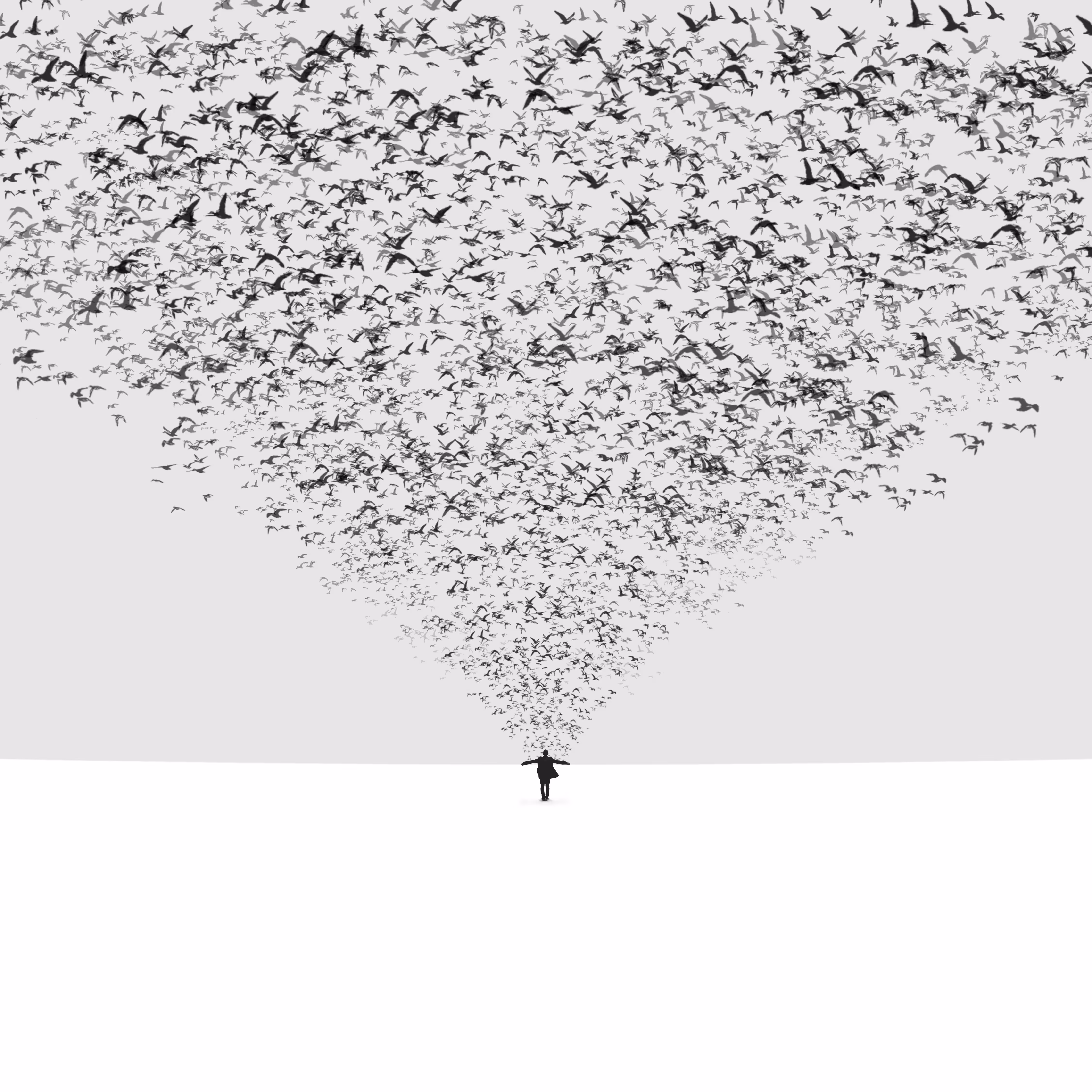 The Dark Half