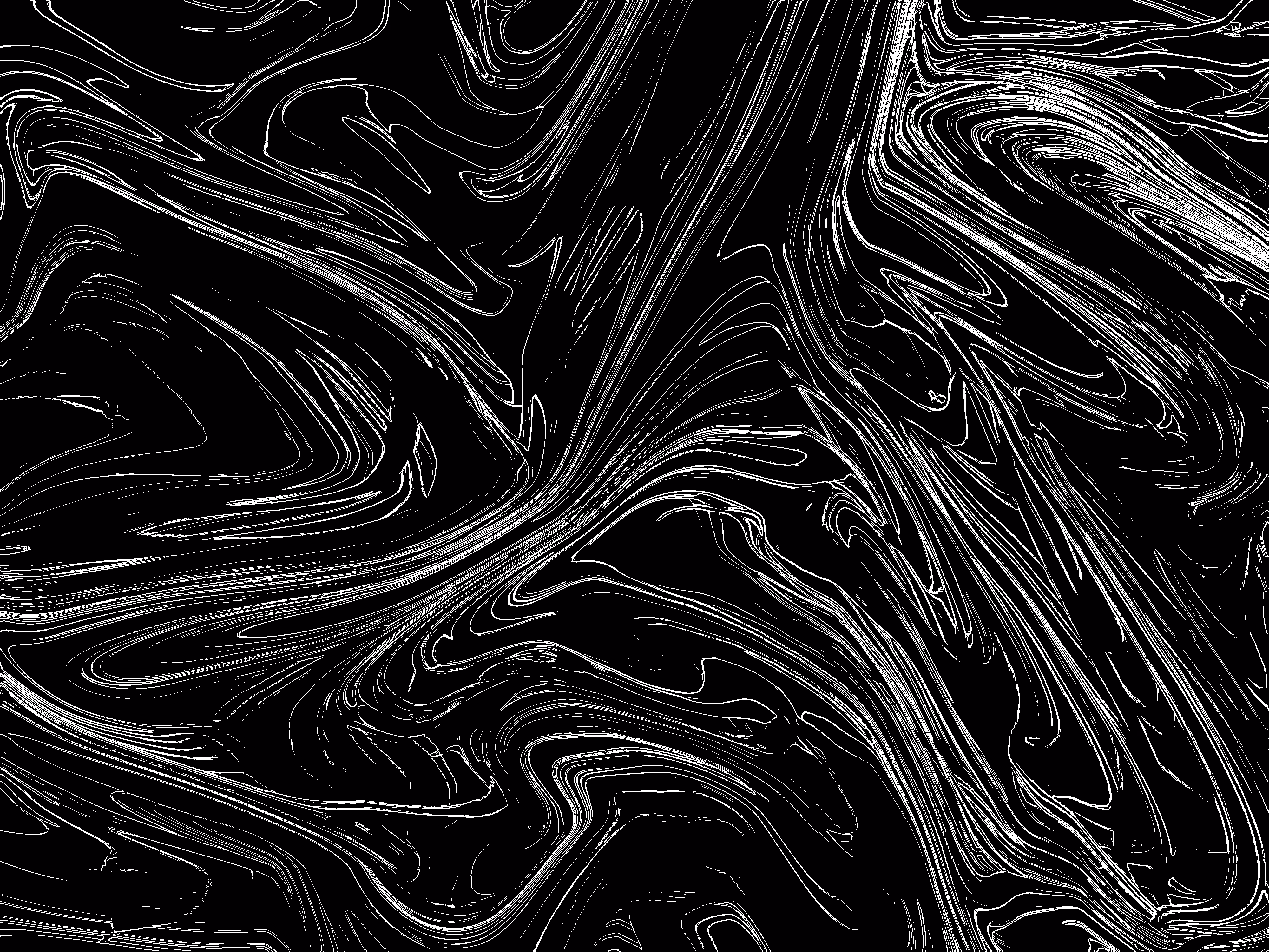 Black Flower