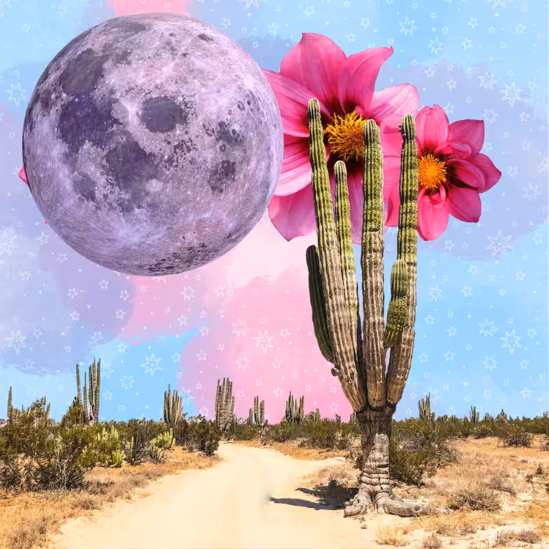 Pink Moon #57
