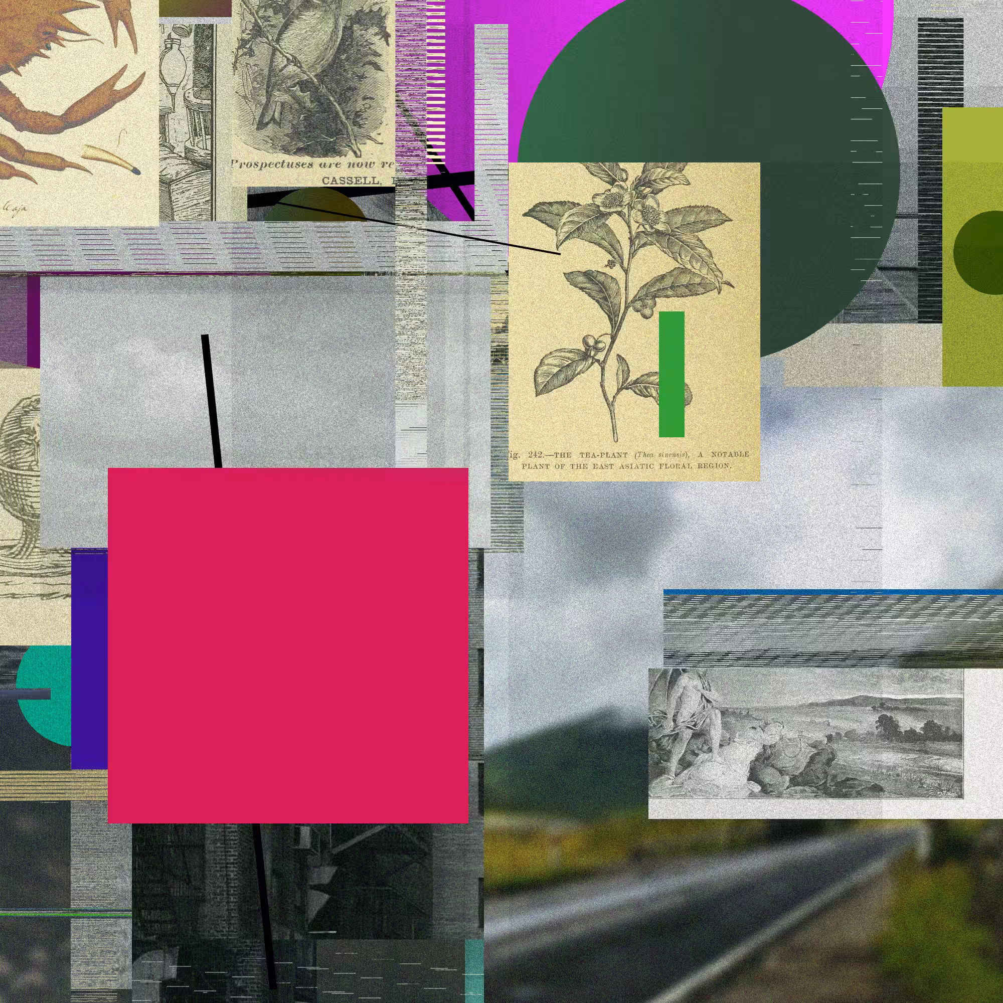 Unconscious Collages #1535