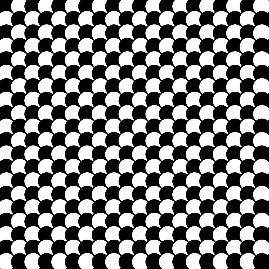 Circle Grid Animation 3
