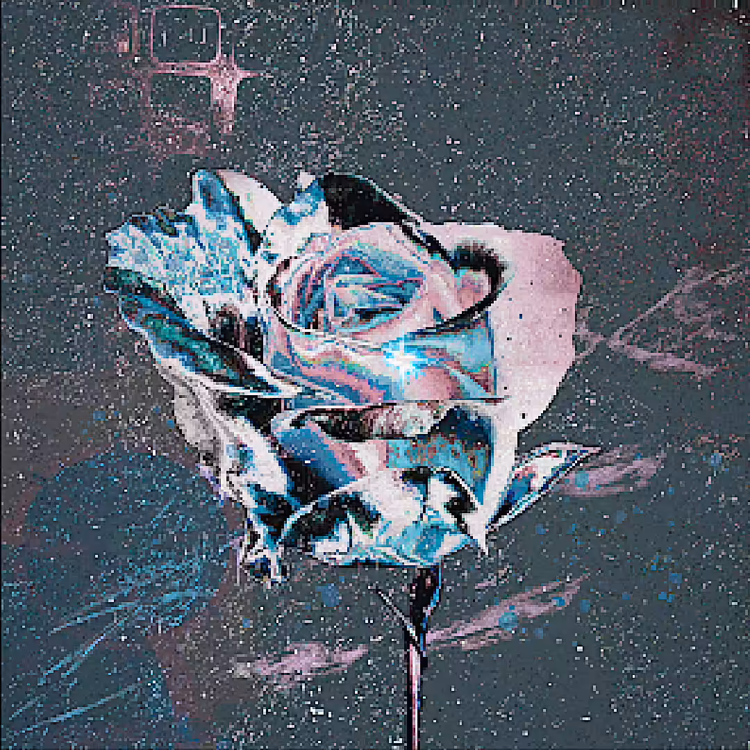 Our Winter Rose