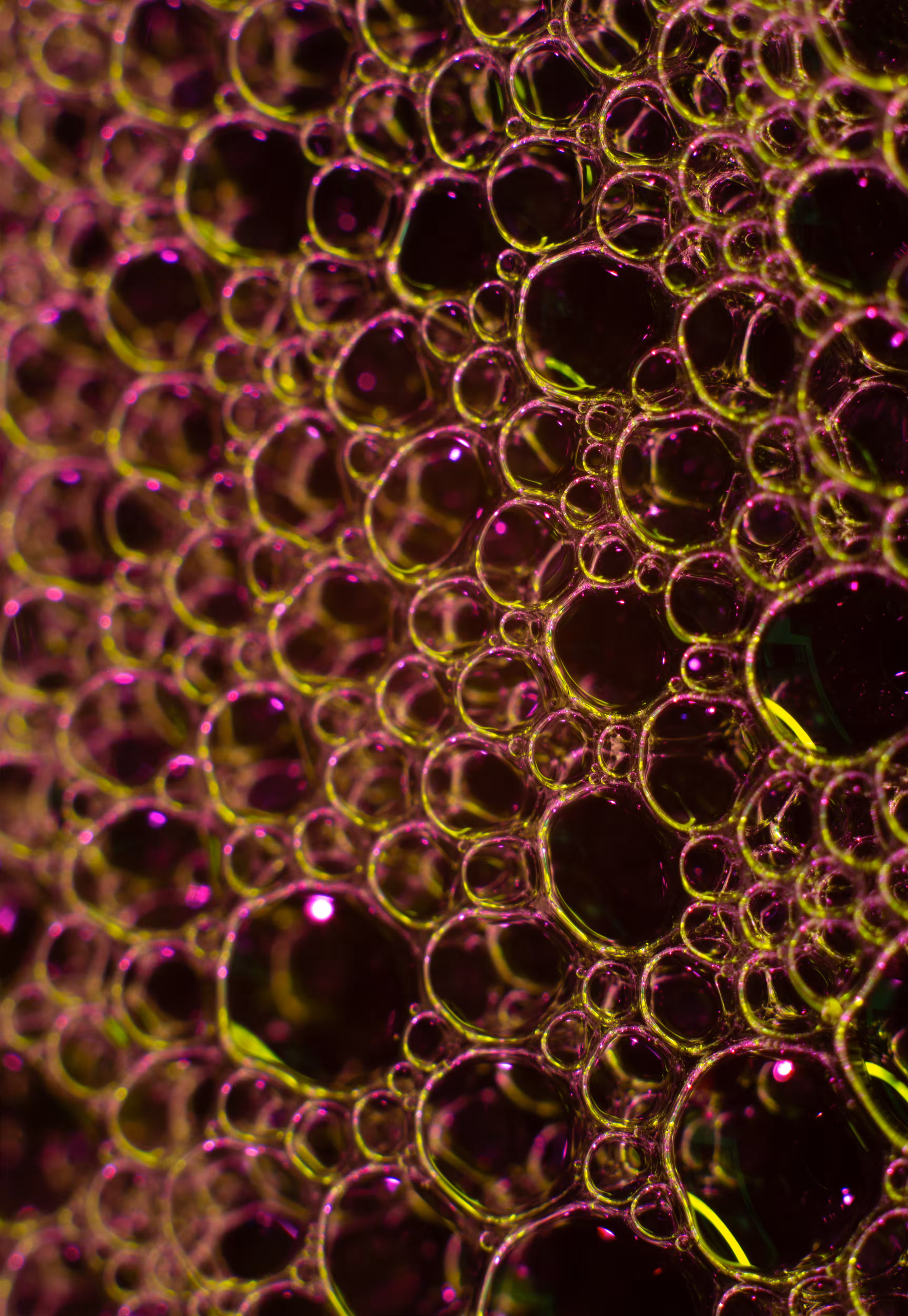 Abstract World of Soap Bubbles: #210 Bubbles
