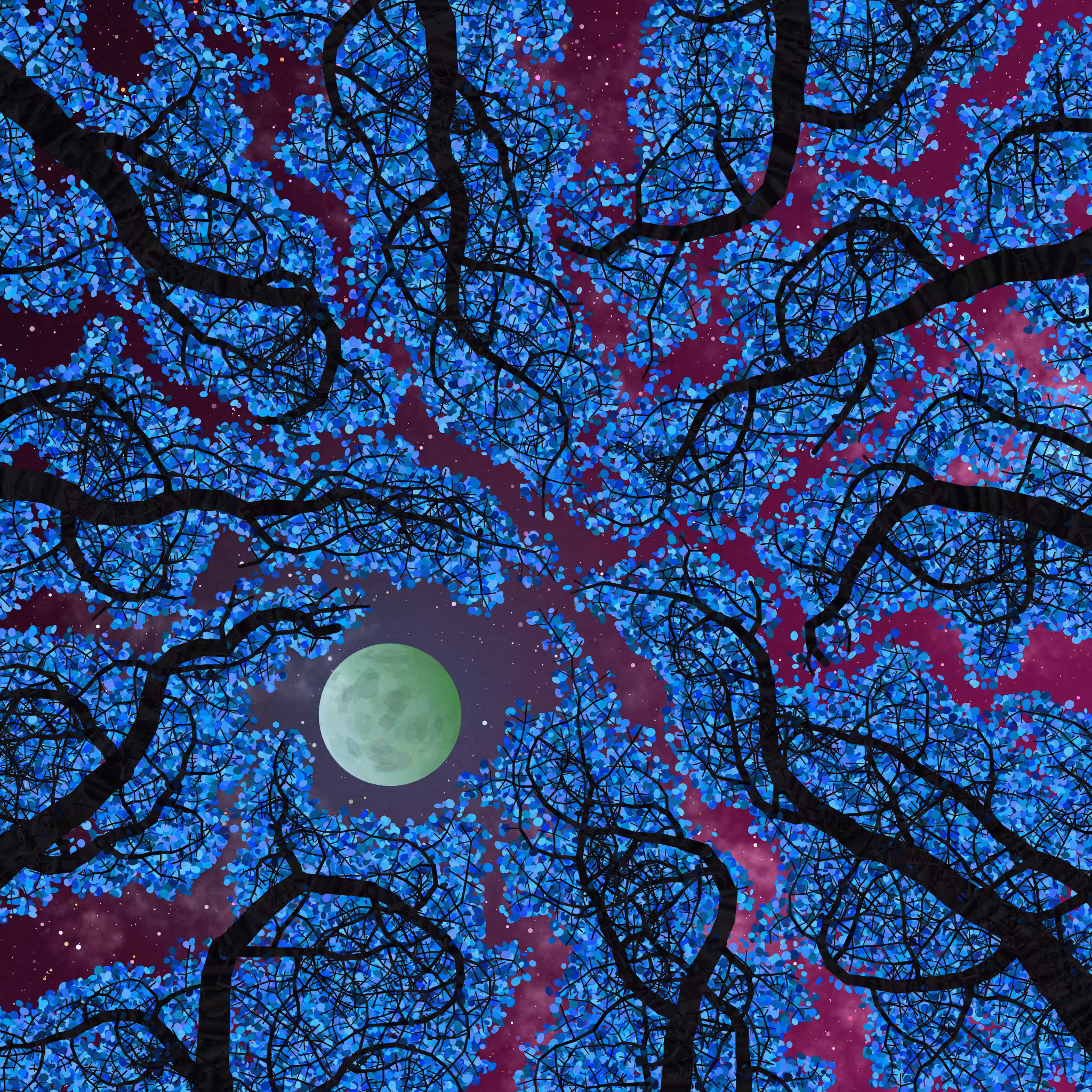Tree Skyness #107