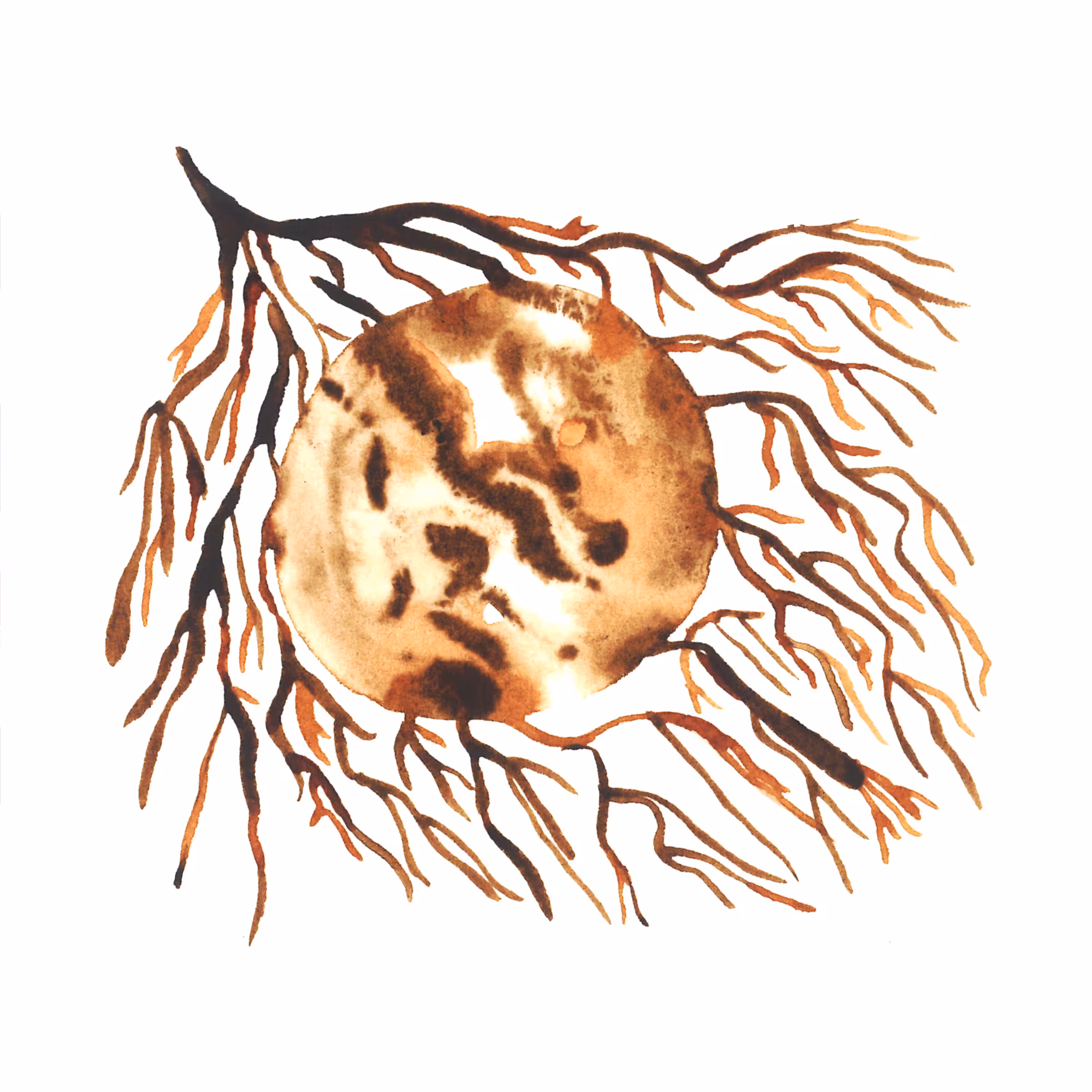 Water Glyphs #13