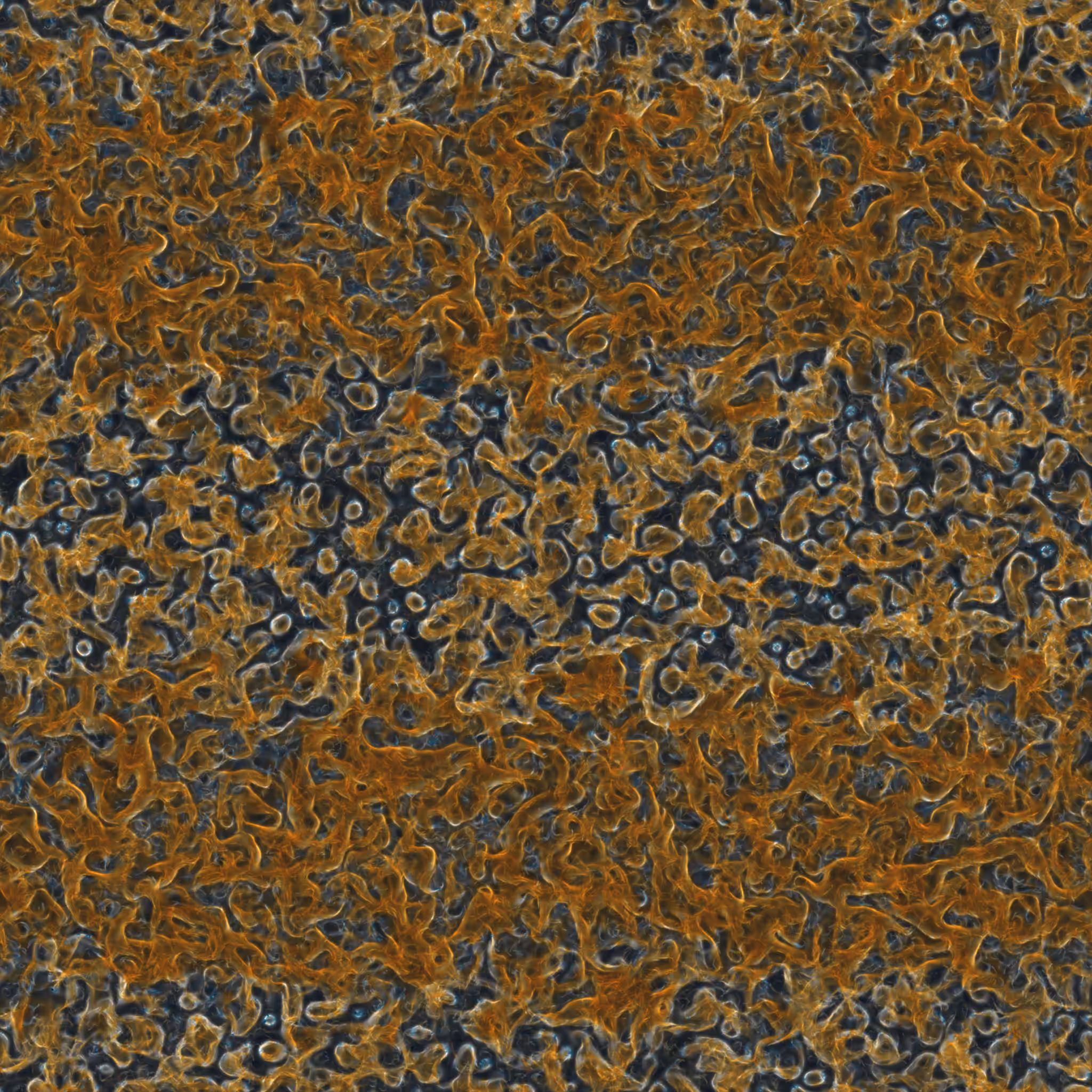saprophyte #14