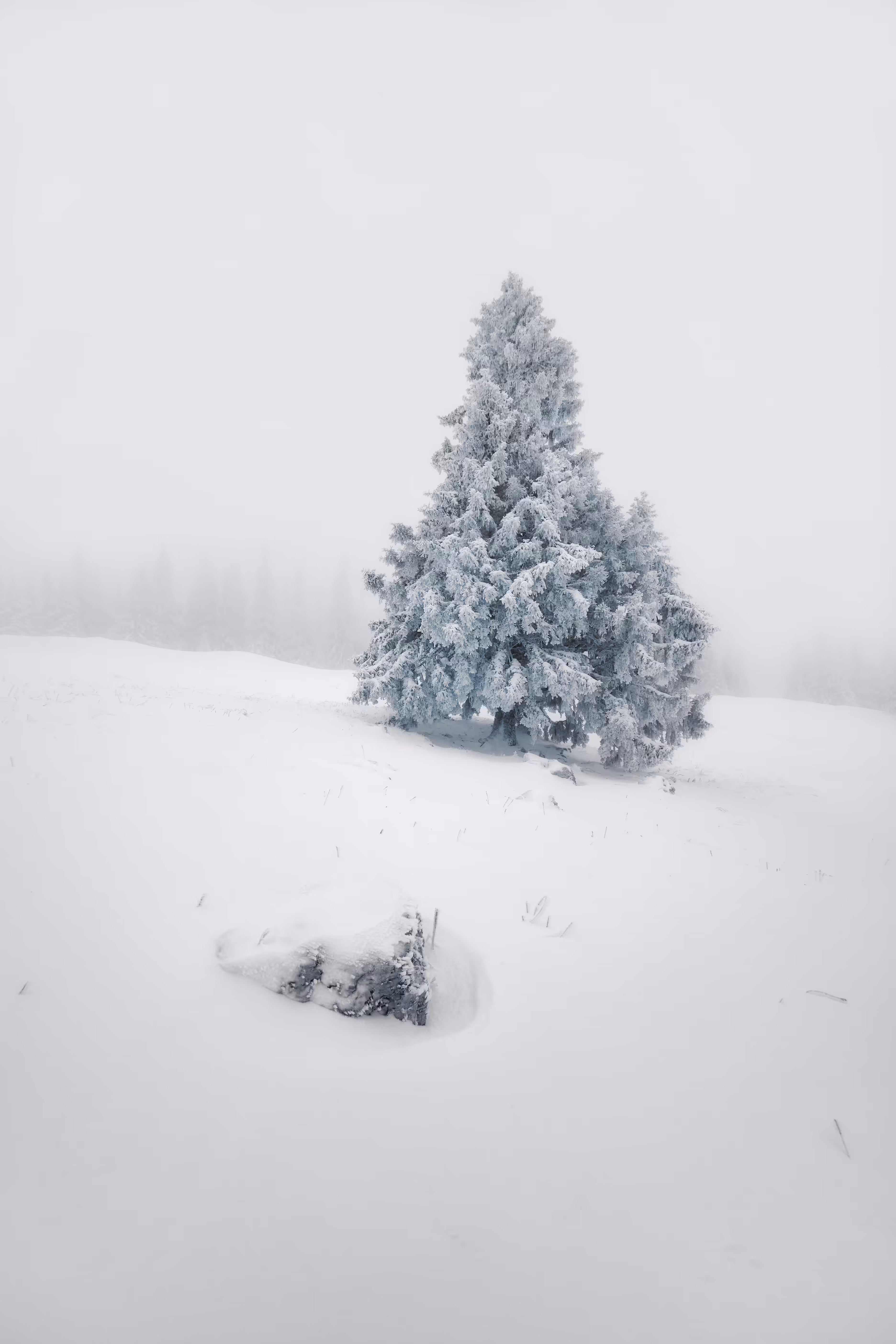 Wrapped In Silence