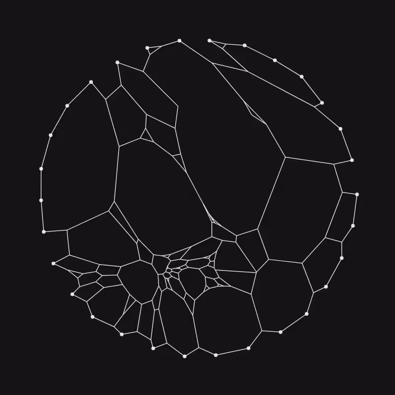 Elastic Web #220