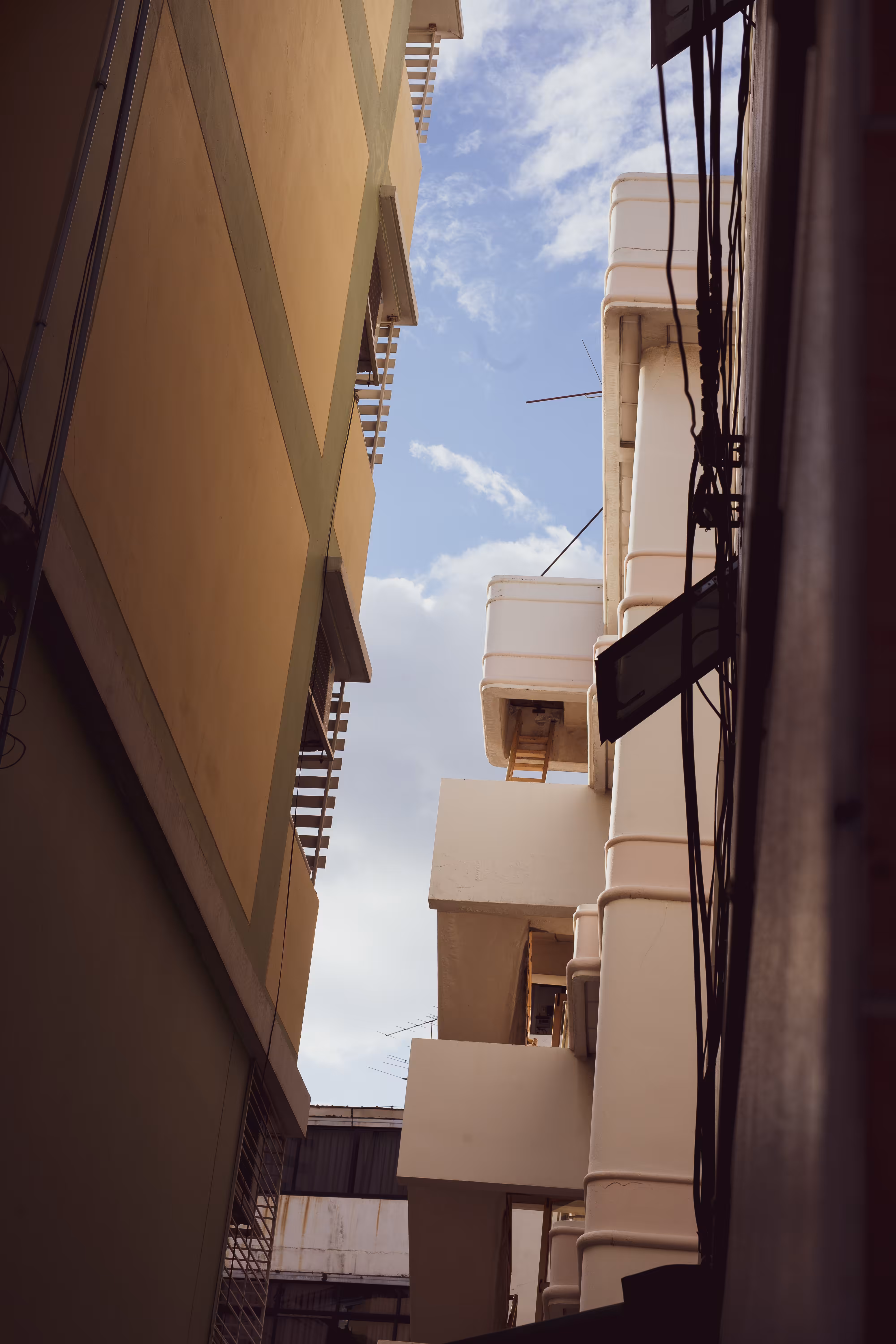Looking Up