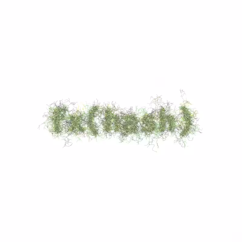 FXHASH Logo with Features #125