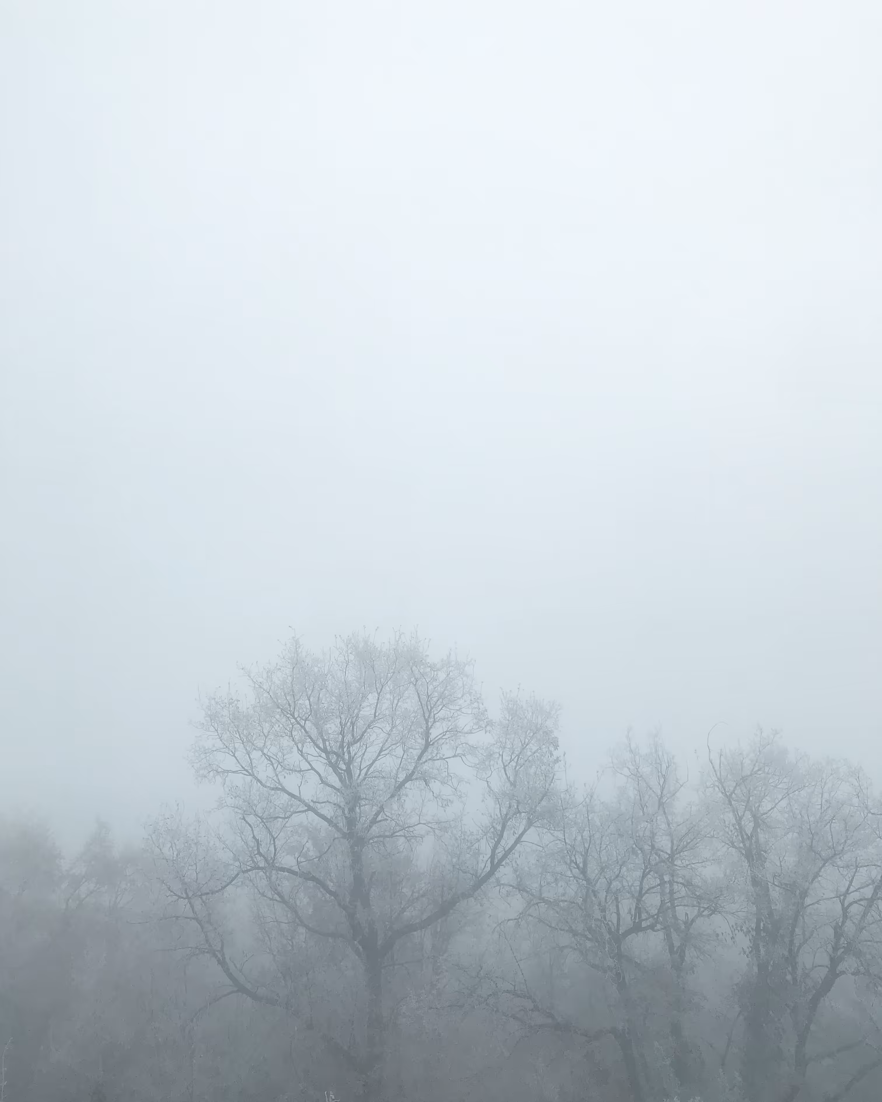 Breath