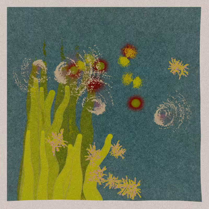 Sea Anemone #122