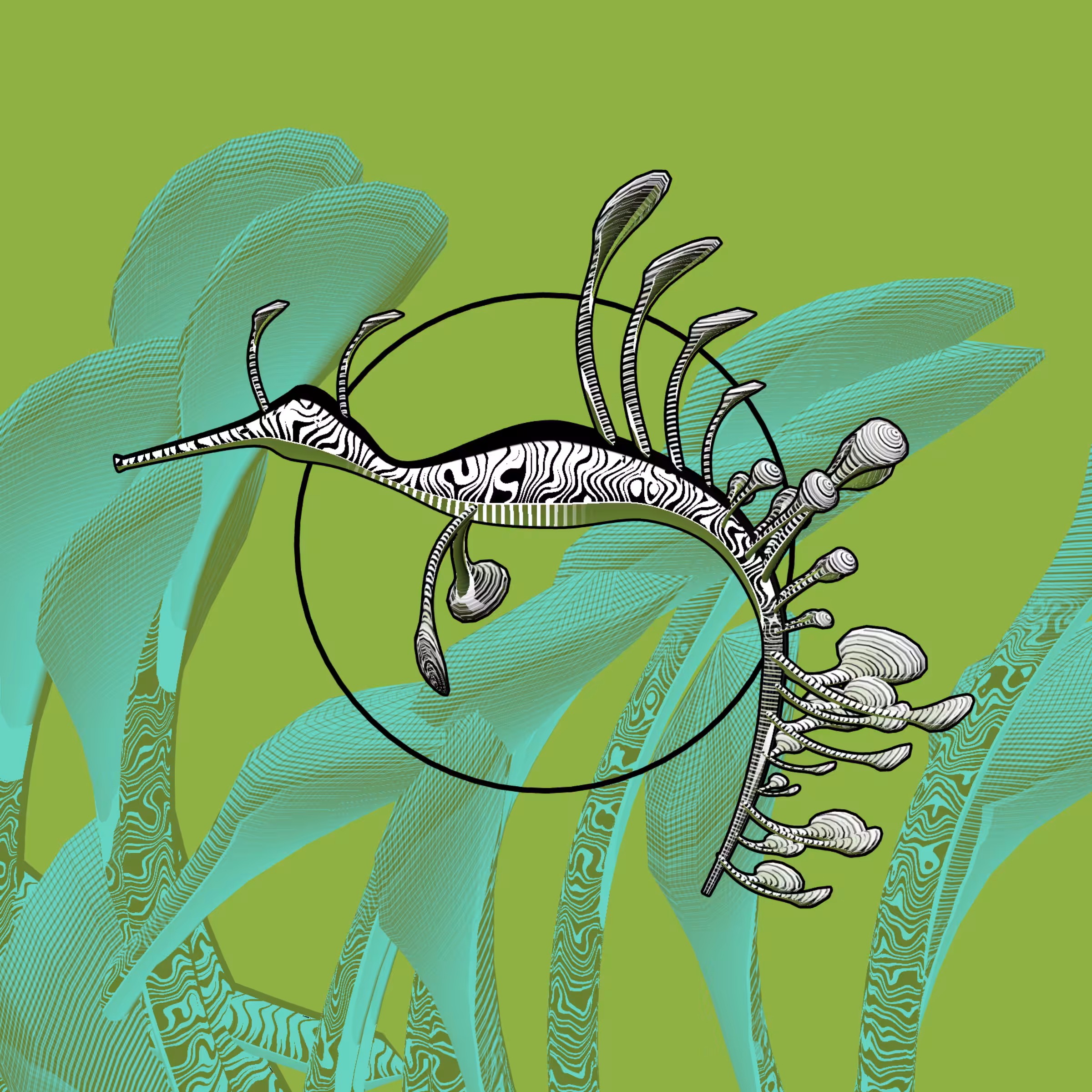 Seadragons #848