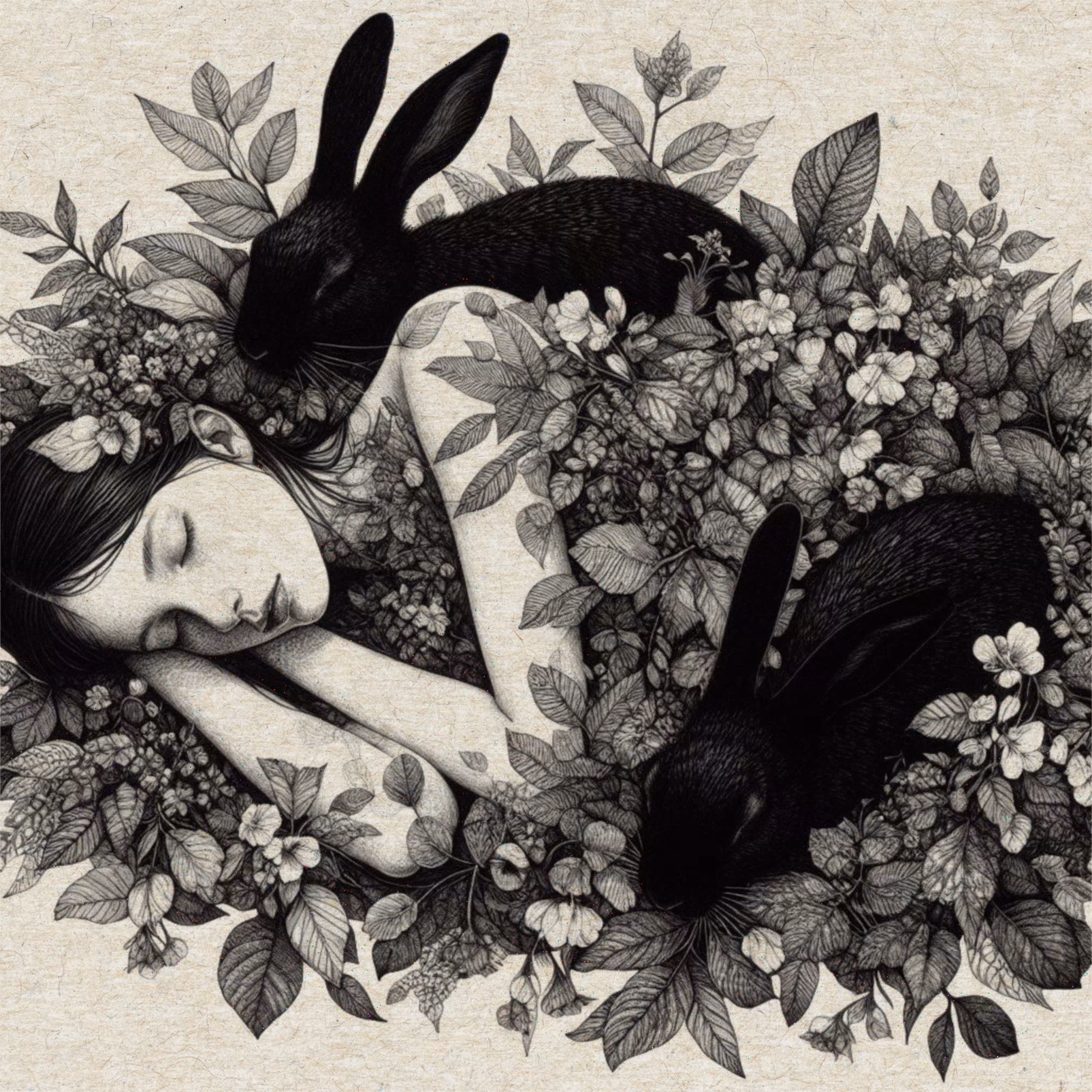 Alice, where are u?