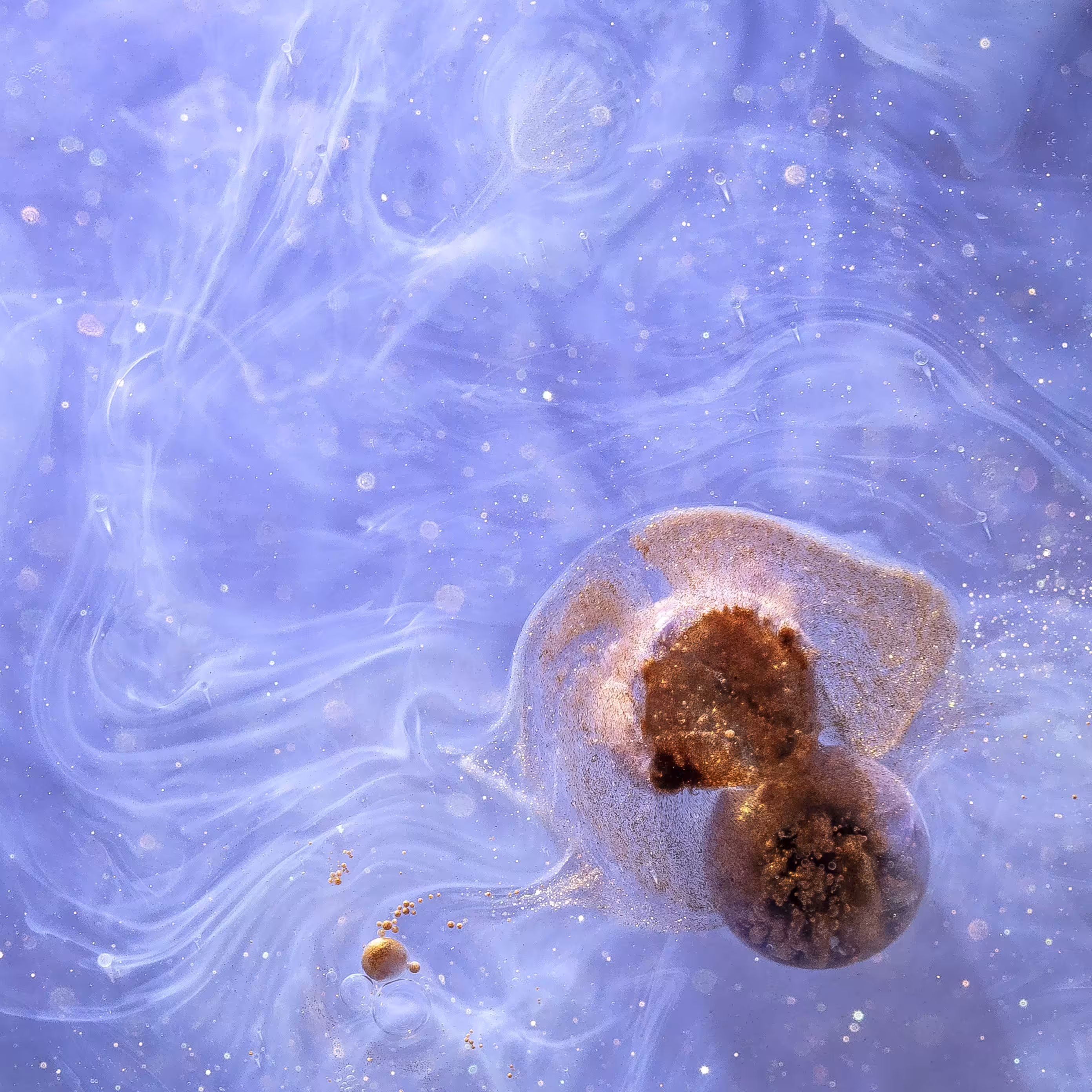 Universo do Observador