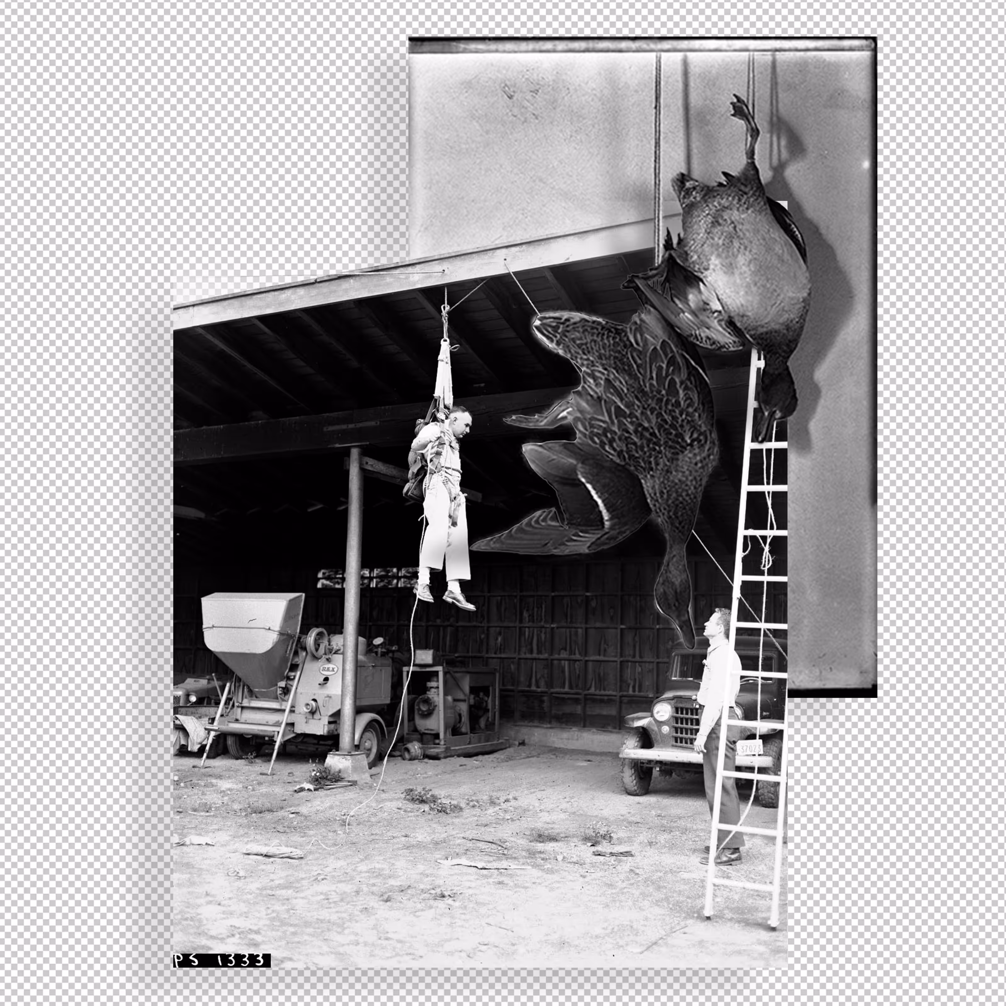 hanging