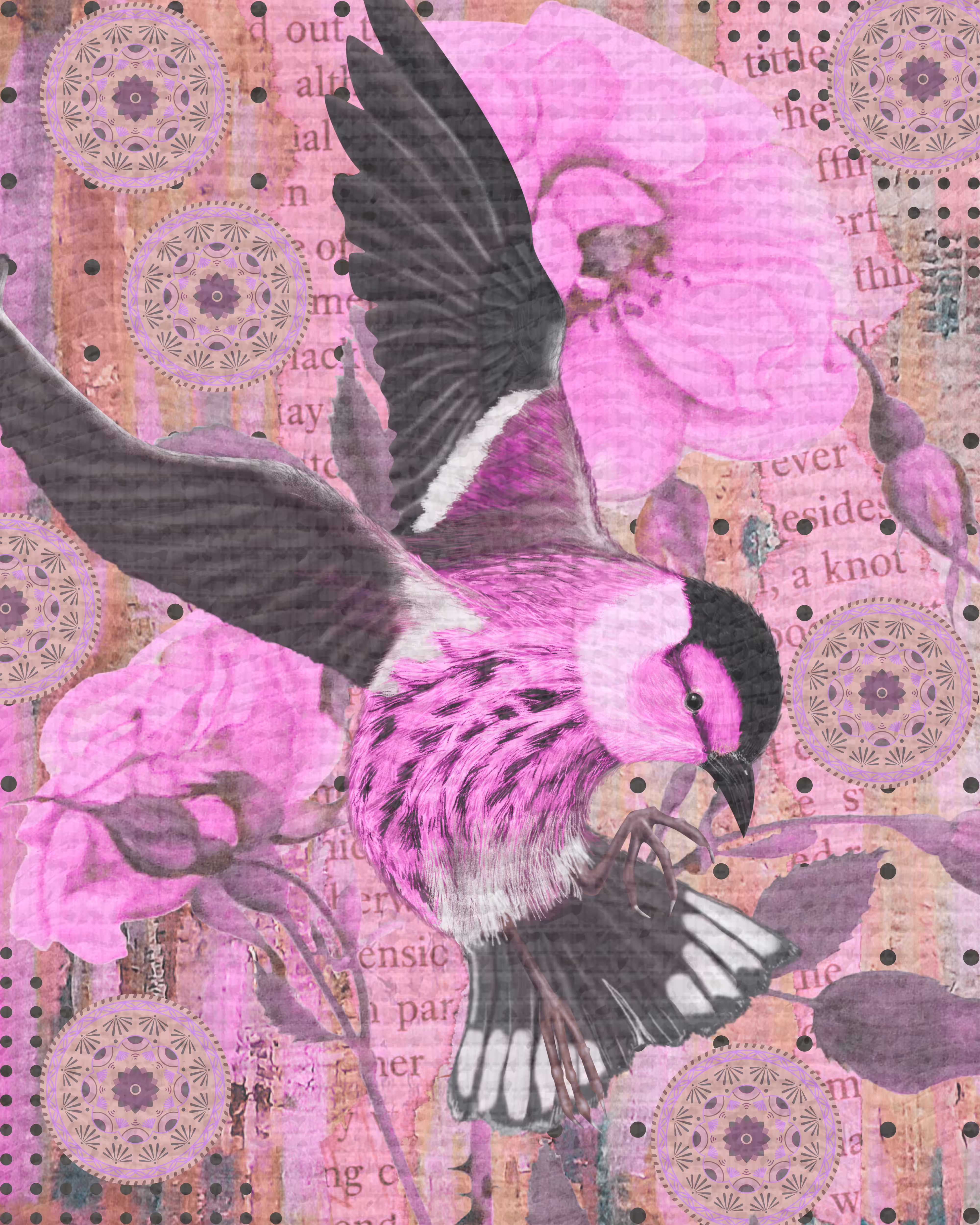 Fuchsia Flight