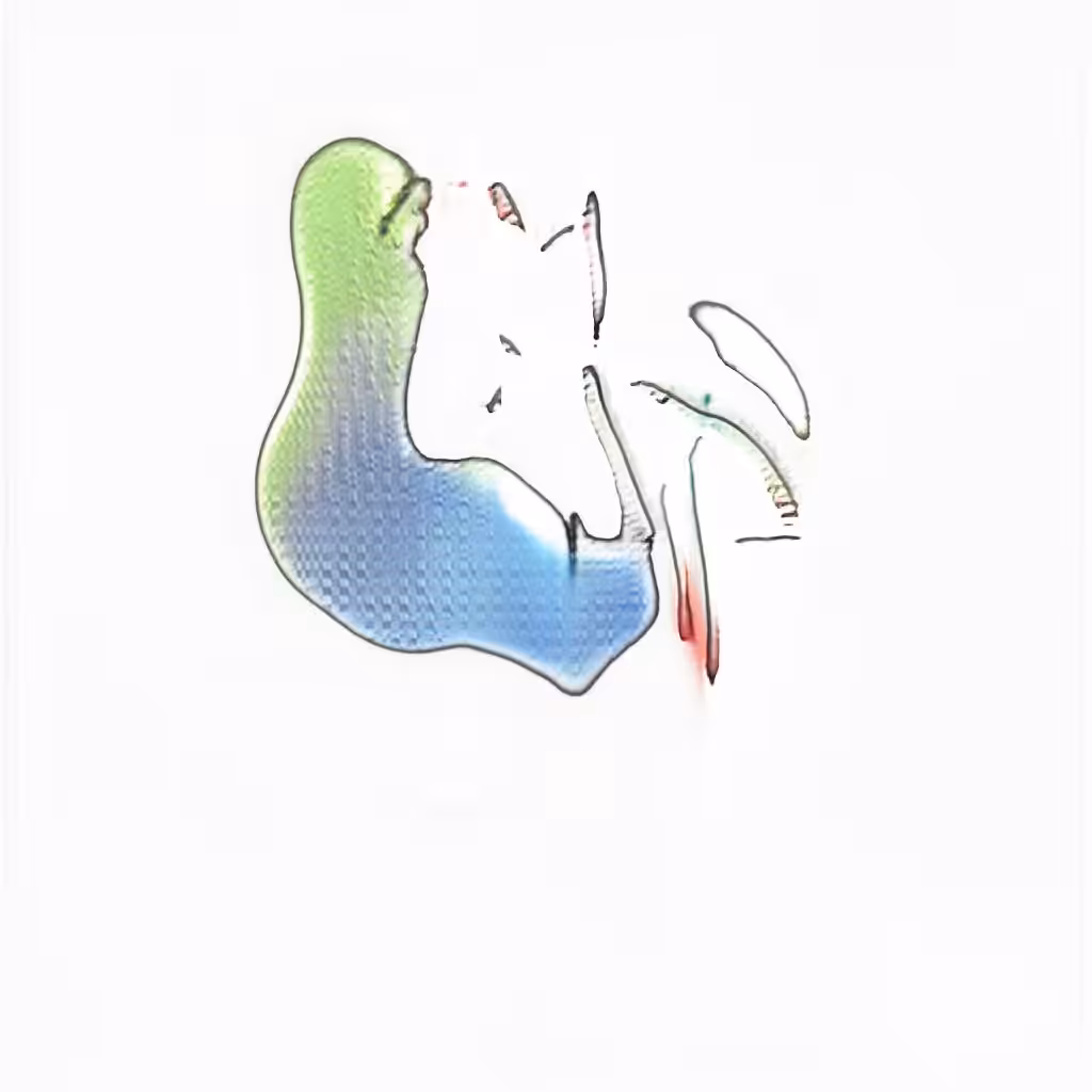 Ameb-L