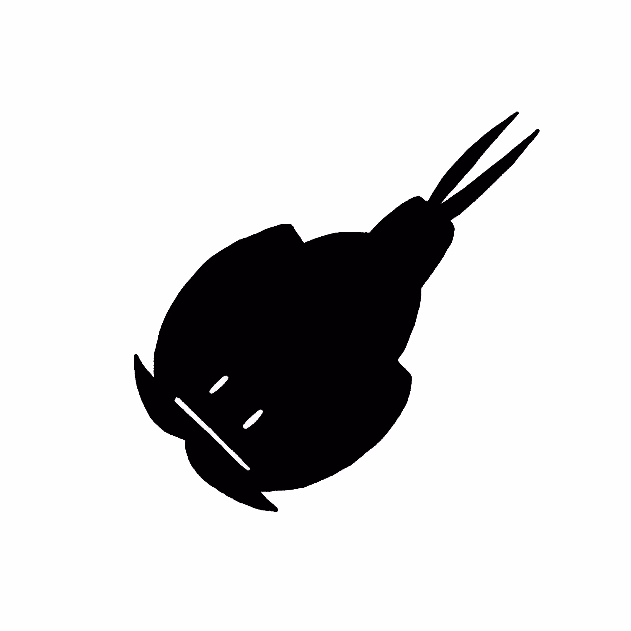 Subtropical Sea-Louse