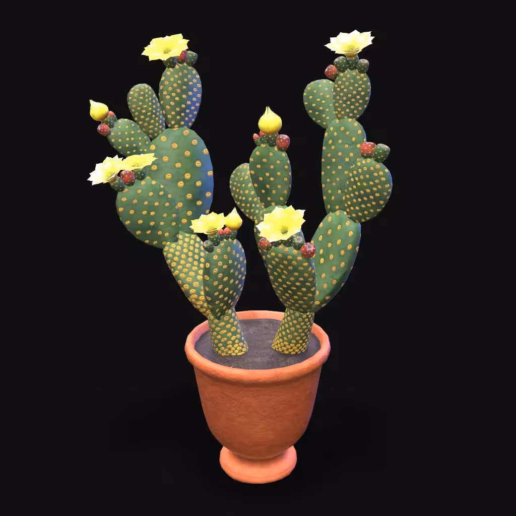 Opuntia Cactus