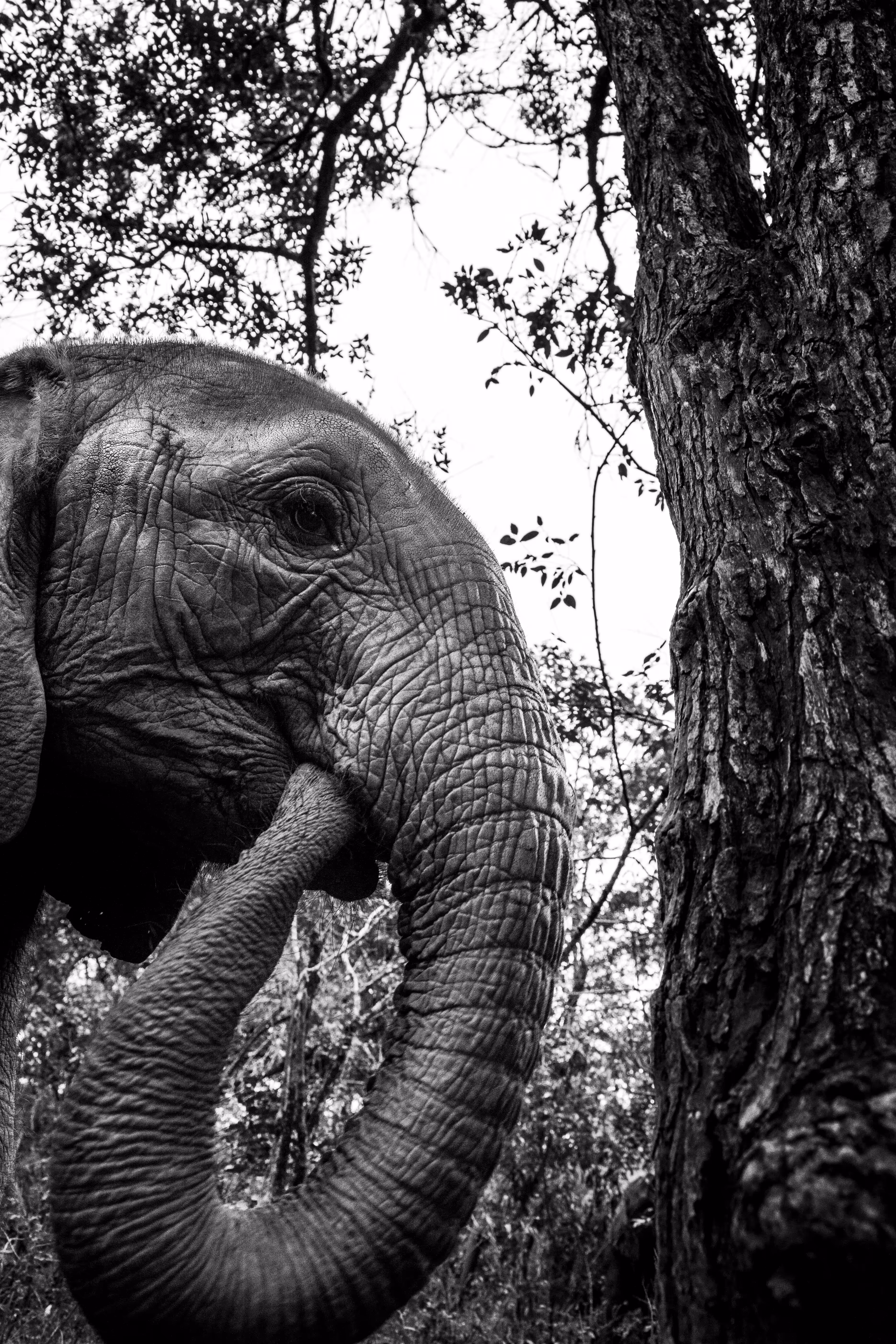 B&W Africa - #15 - The Oldest One