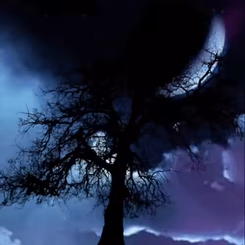 Tree #3 (Series 2)