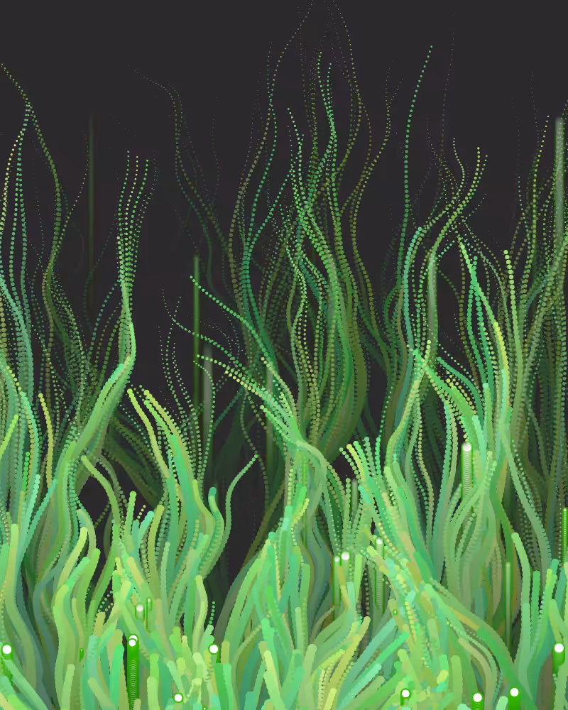 Waterweed #44