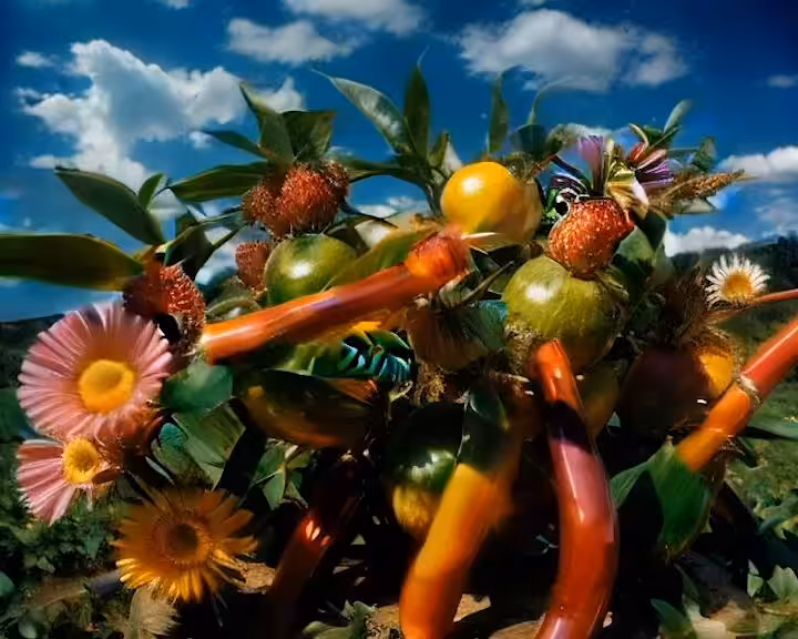Sheldrick - Produce