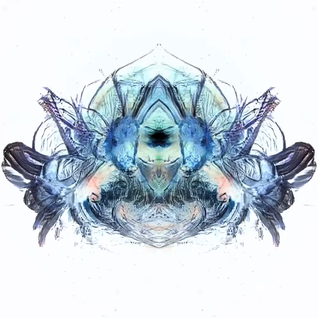 Intergalactic Crab 