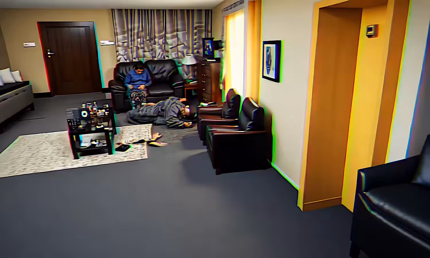 roommates 