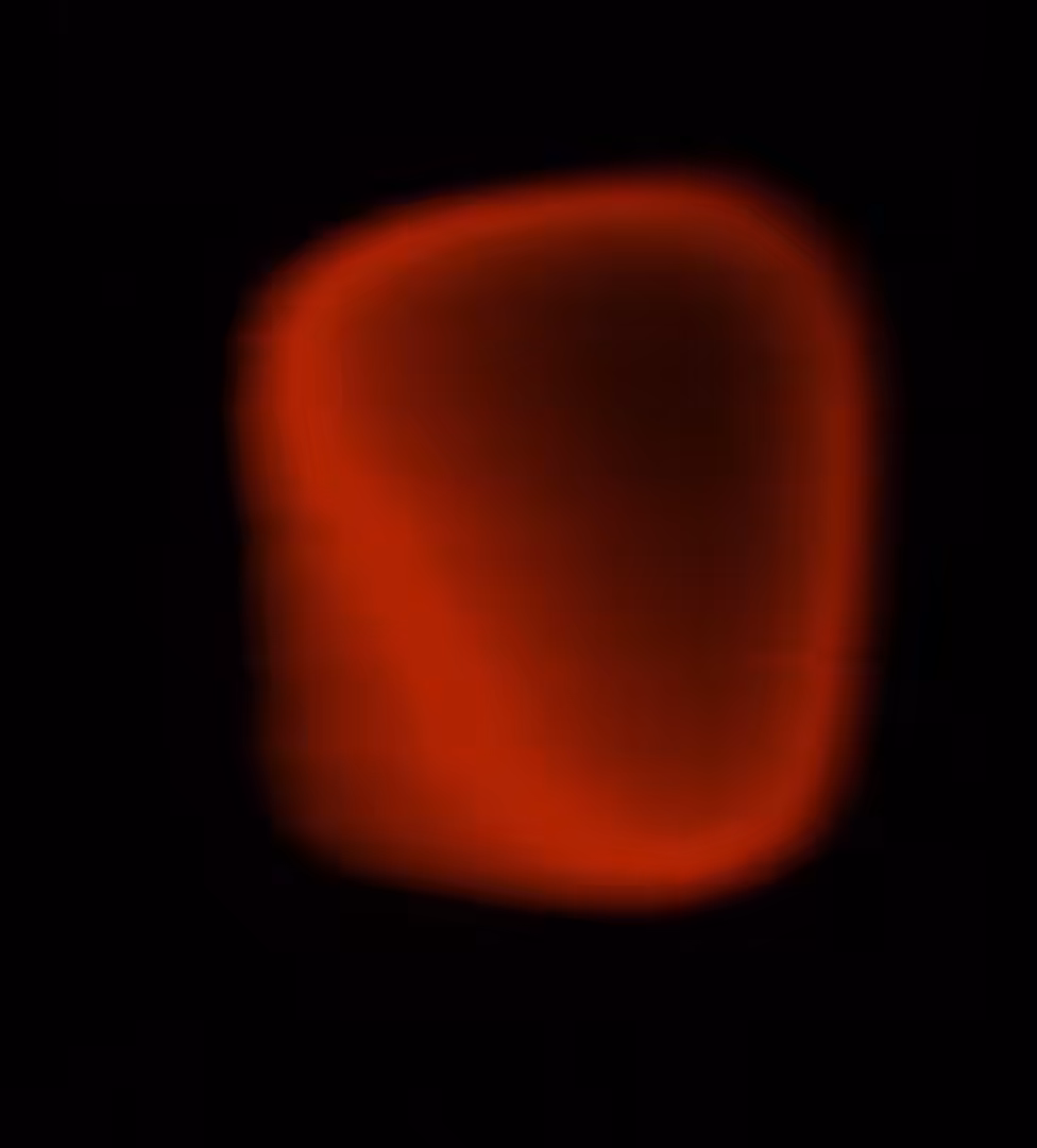 Embryo