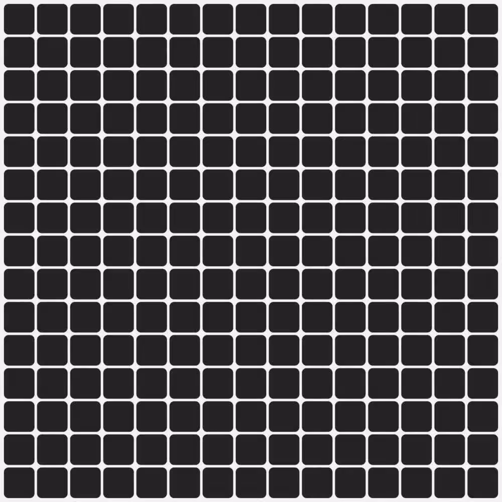 Hidden Dots